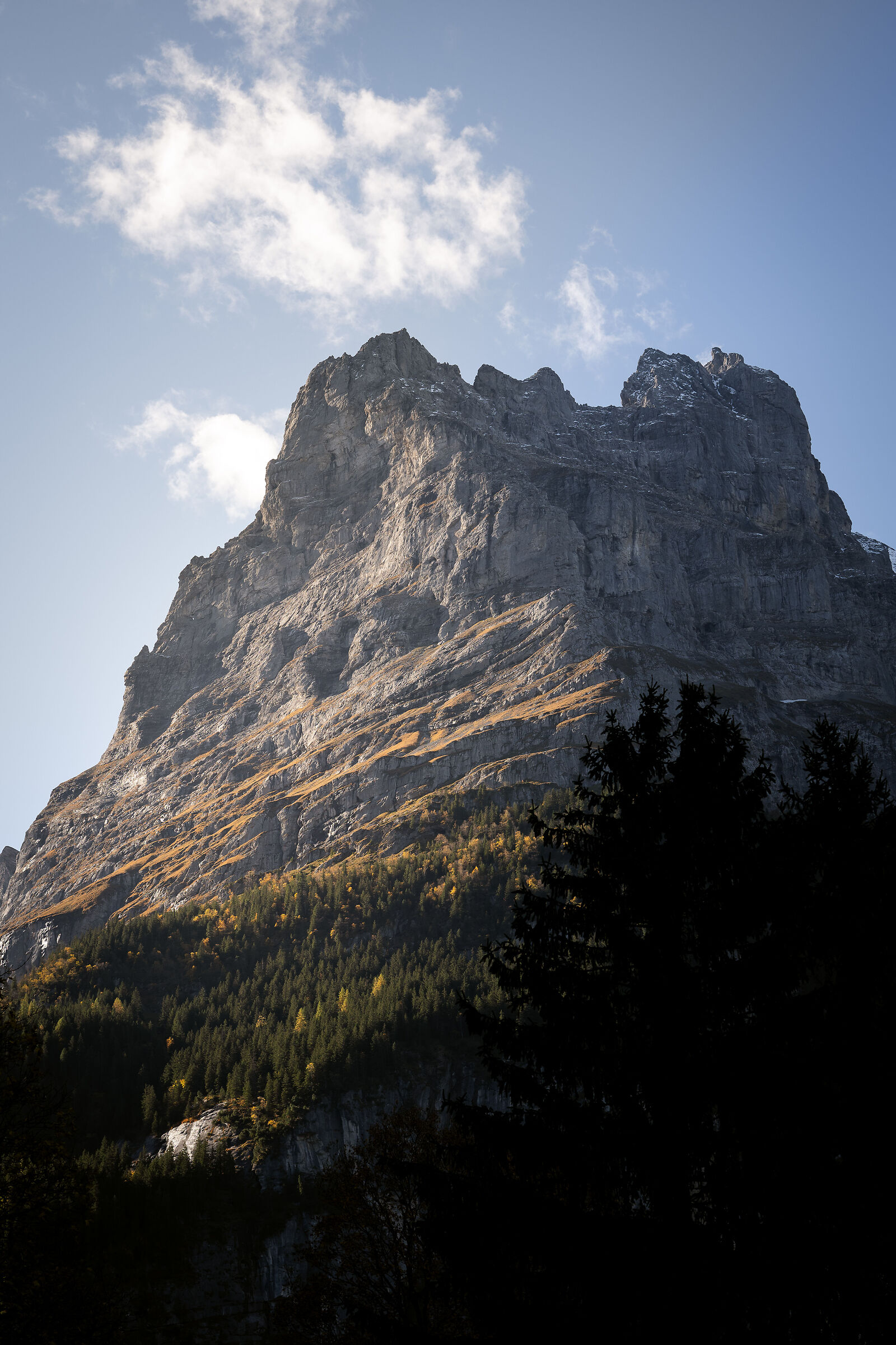 Montagna svizzera