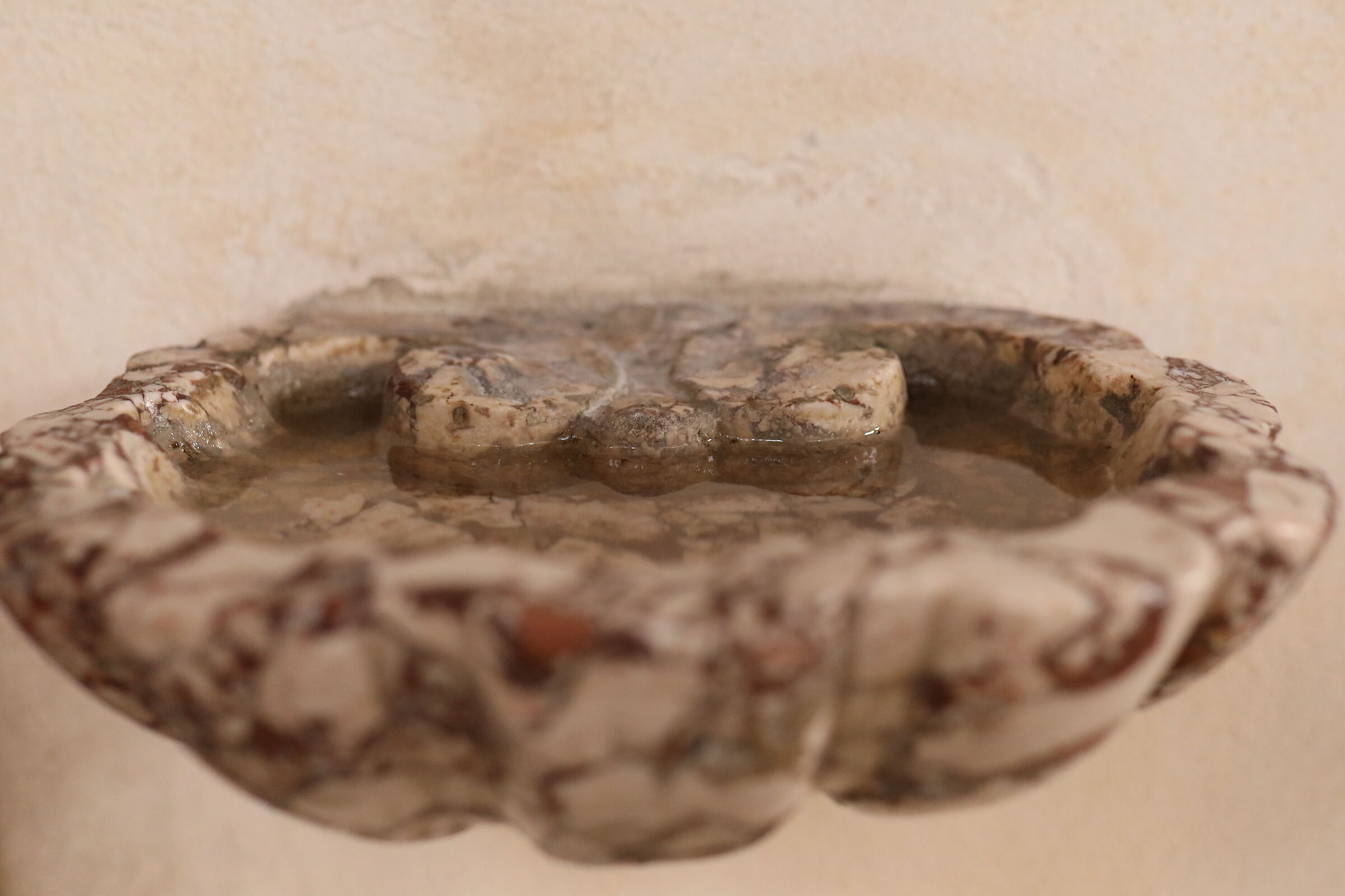 " ISO 6 Thousand 400 " Canon 5 D IV - Milvus Zeiss 50, 1.4