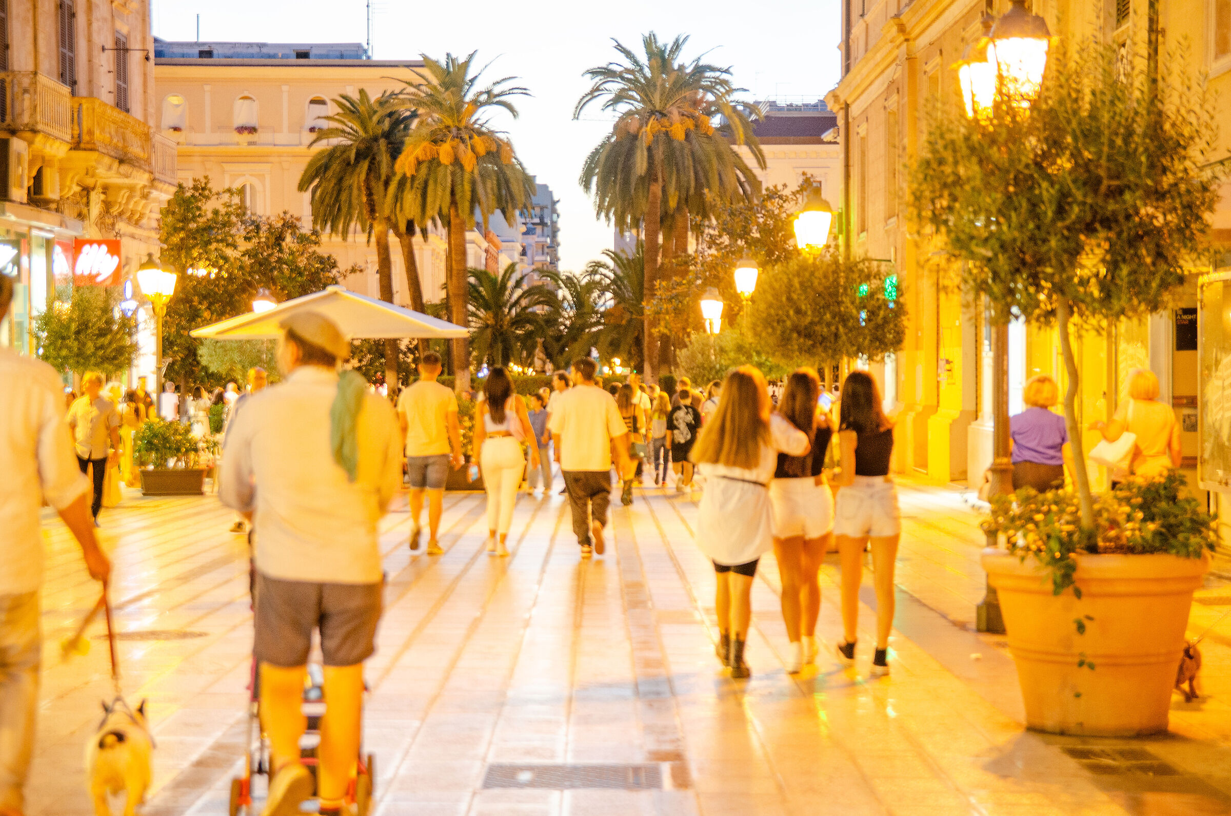 Taranto viale di Palma