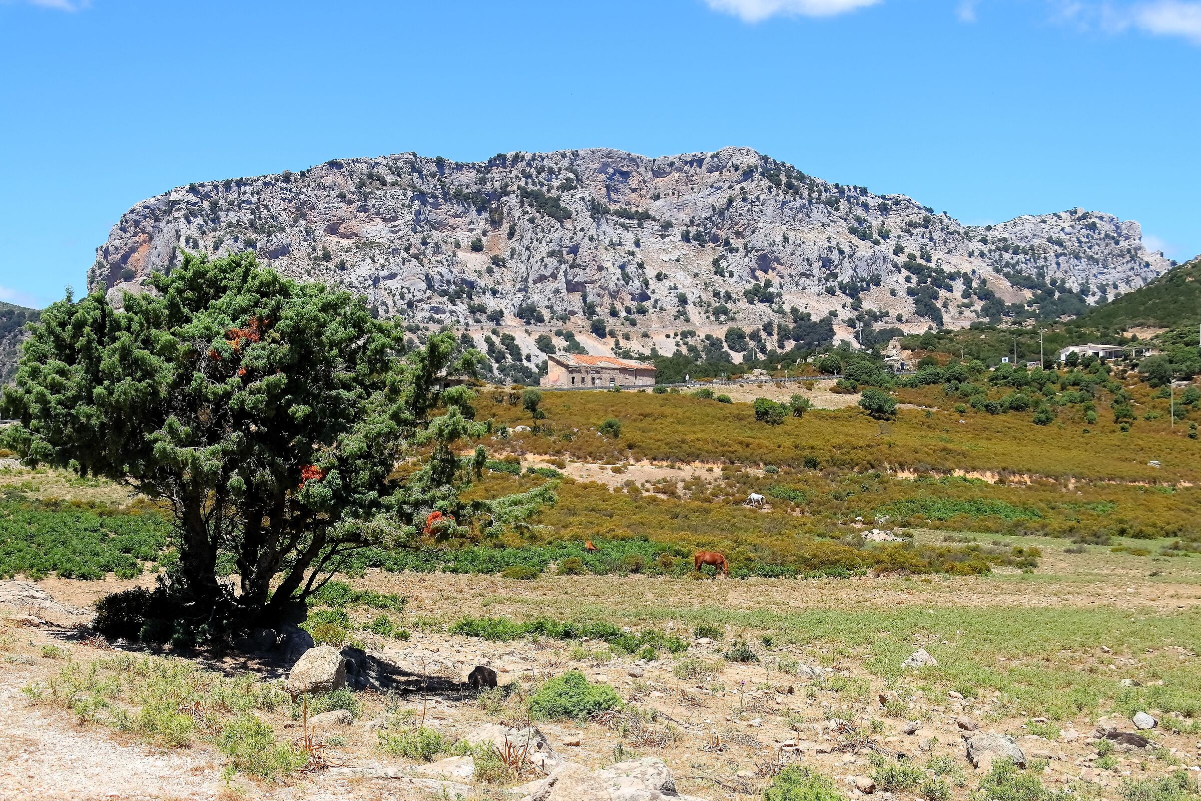 Panorama 22-06-2024 - 1102