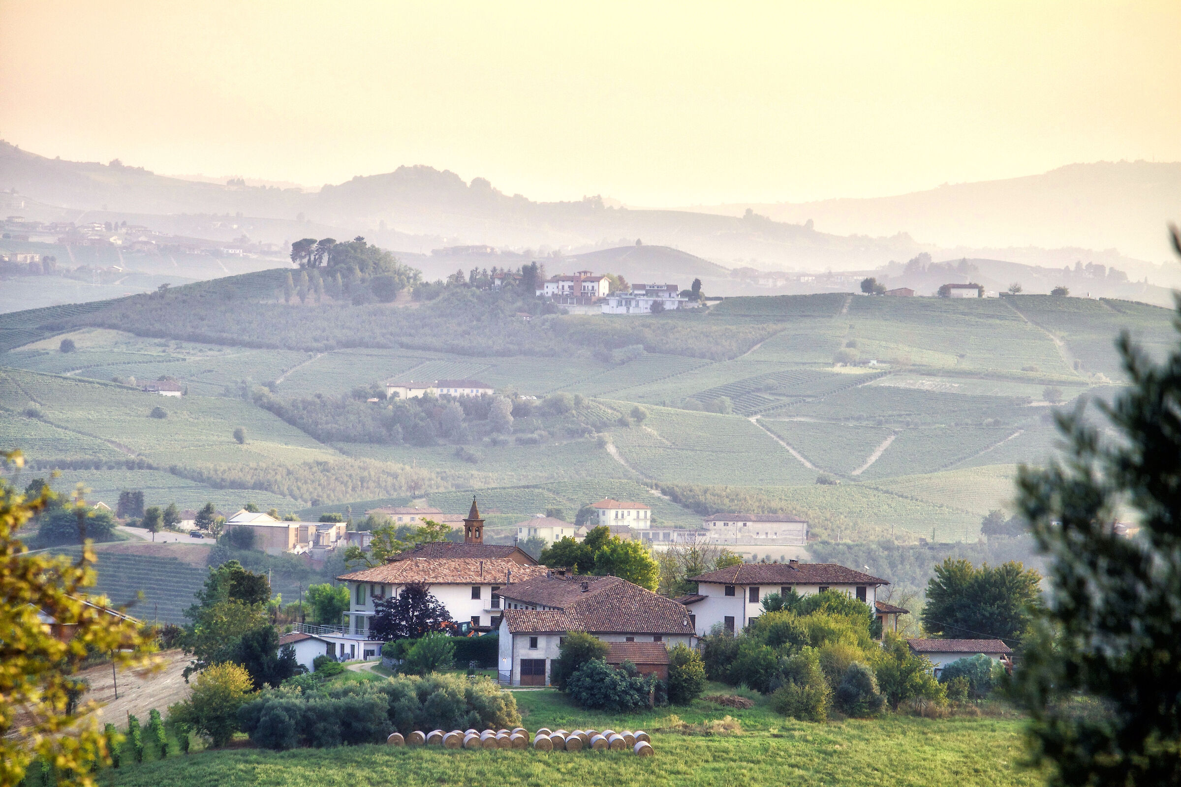 Foschia al tramonto