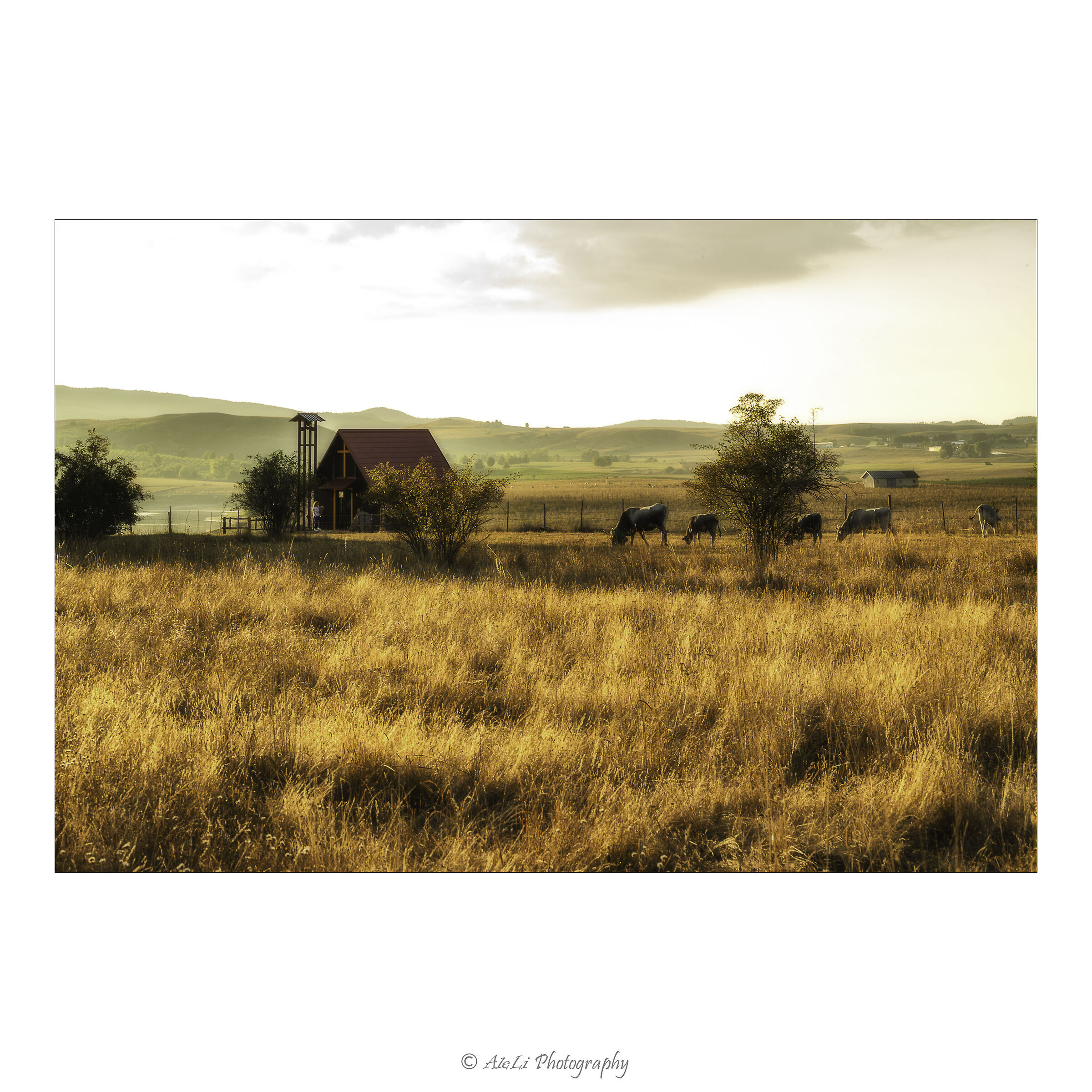 Rural sunset