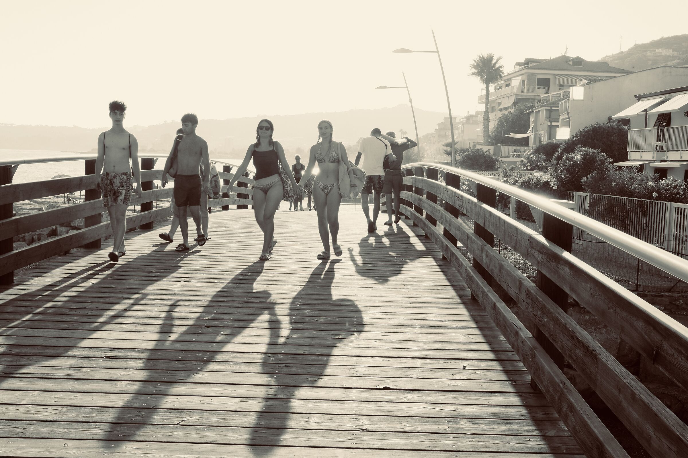 The shadows
