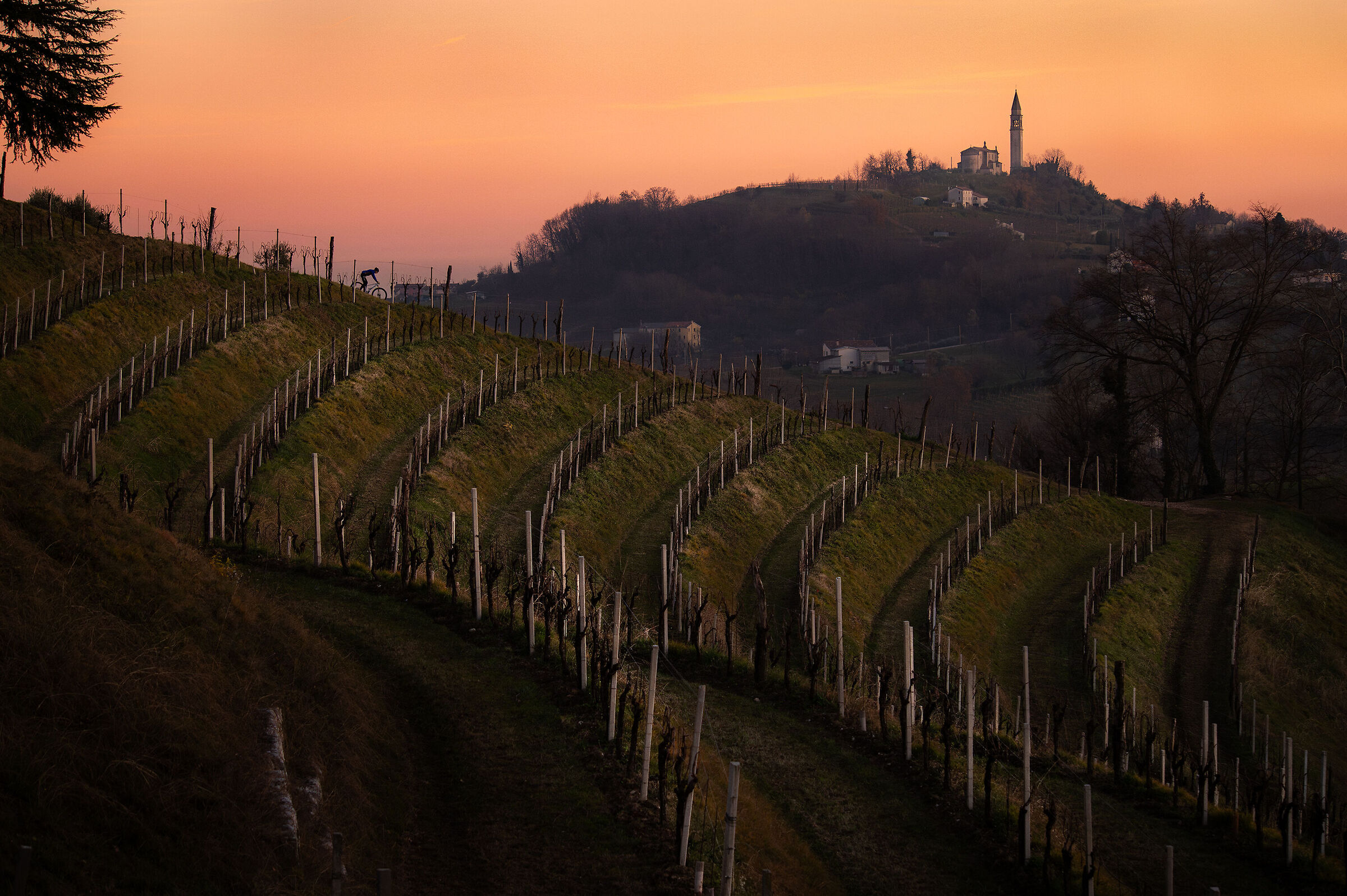Profili, Formeniga (tv)