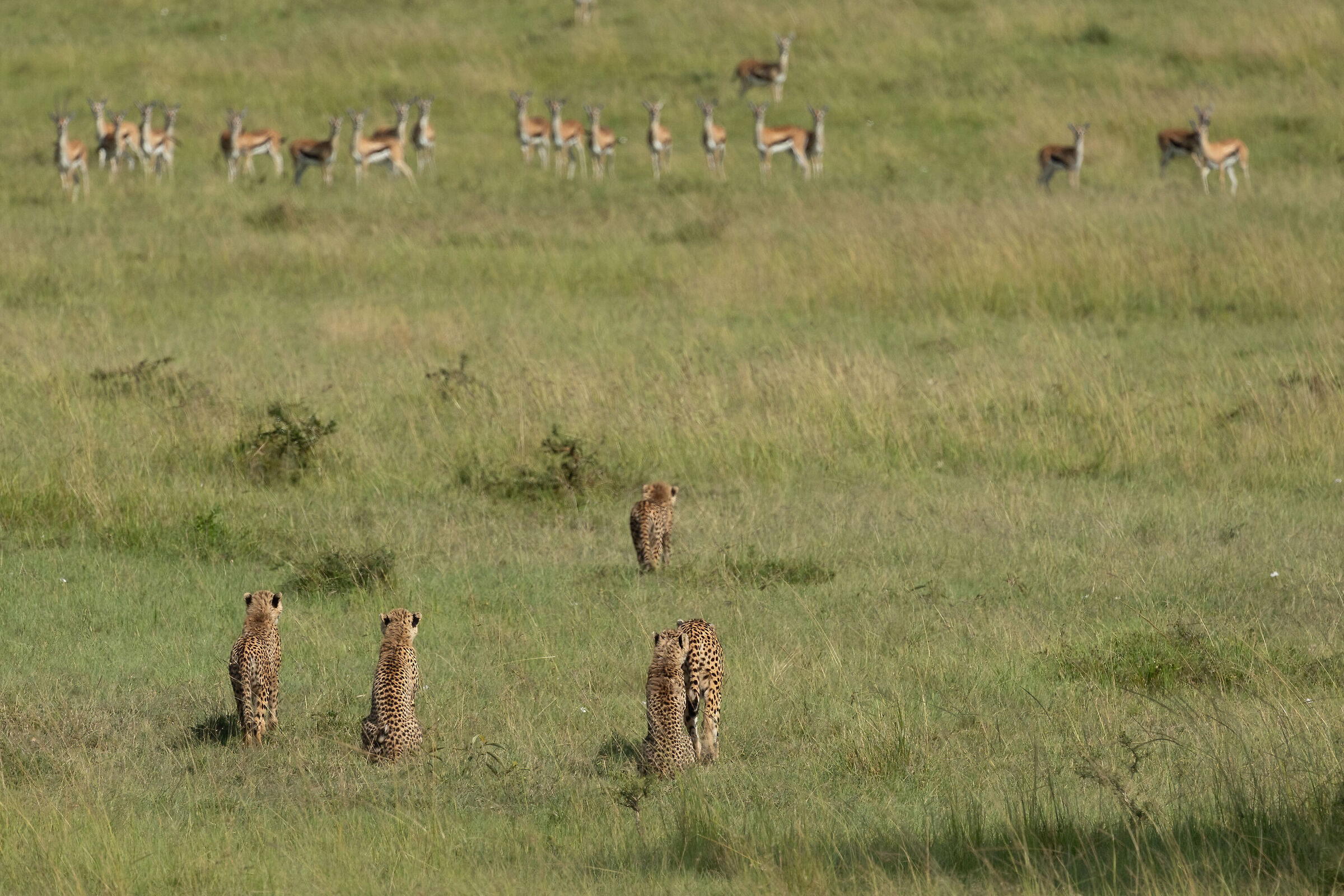 Sul campo di battaglia