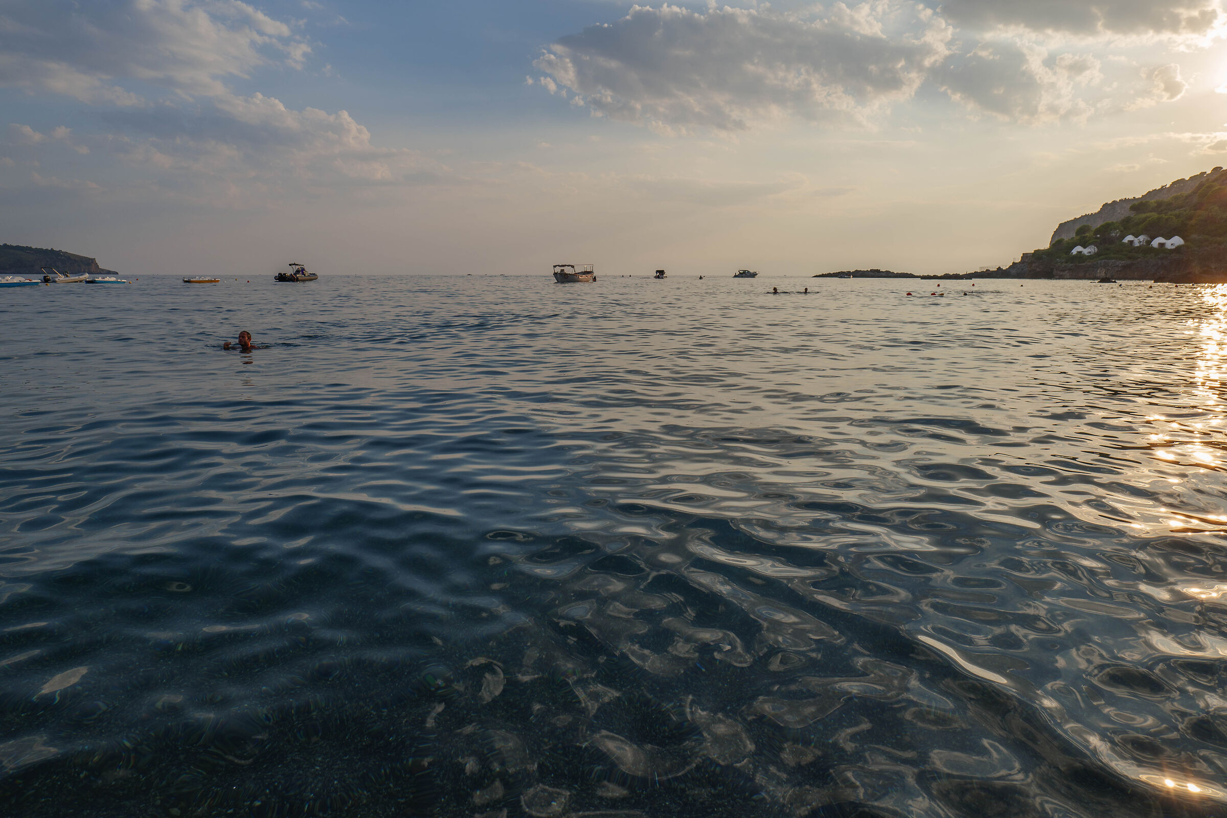 Untitled Photo