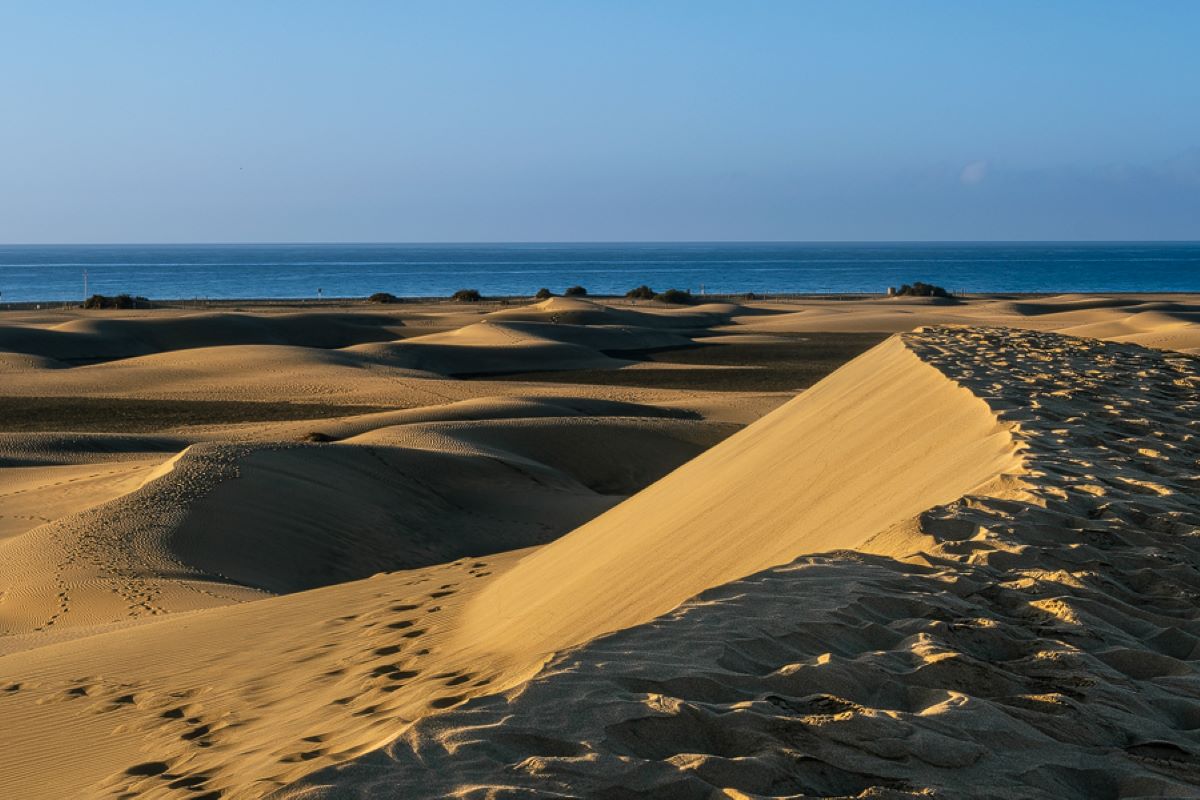 Dunas de Maspalomas