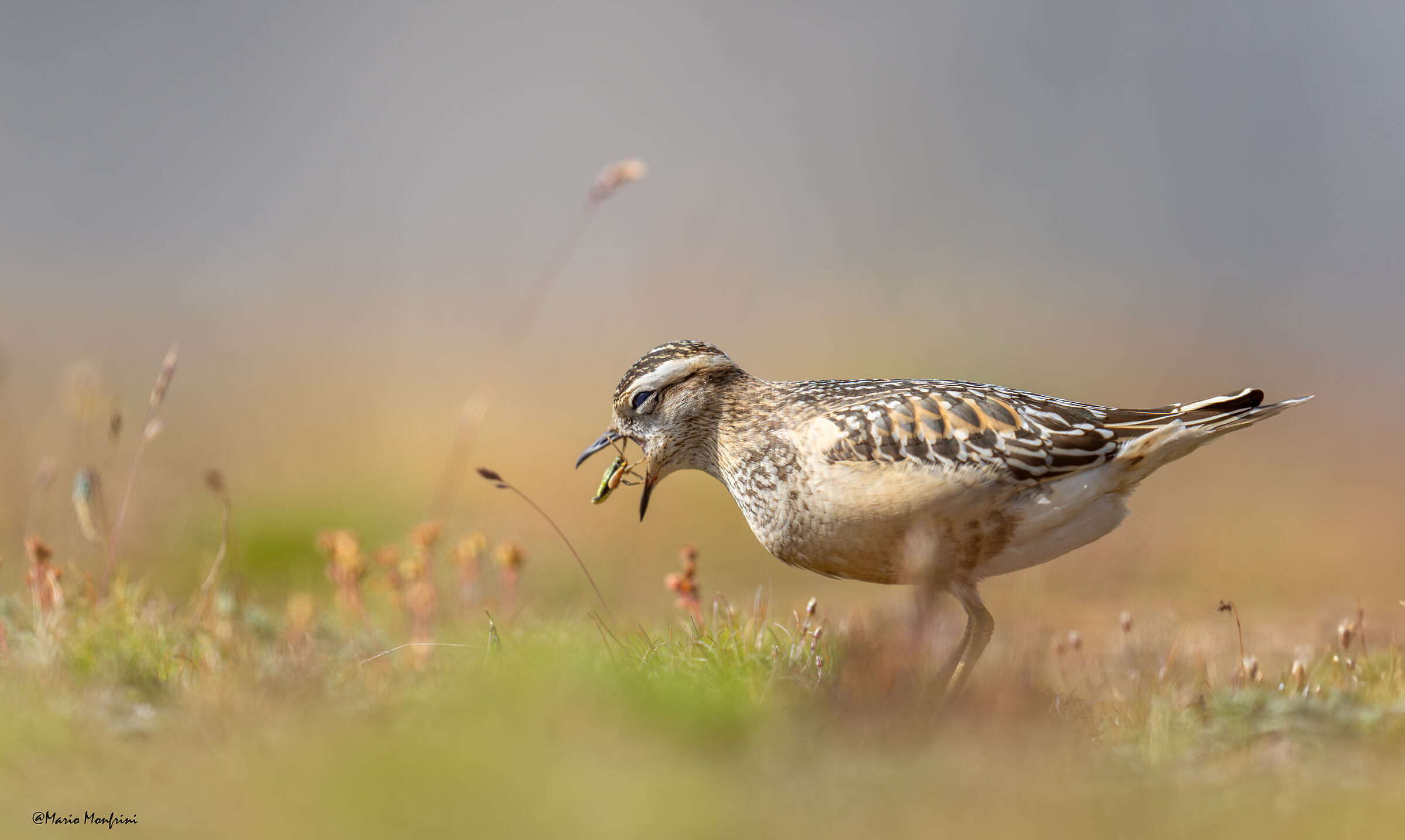Breakfast at high altitude