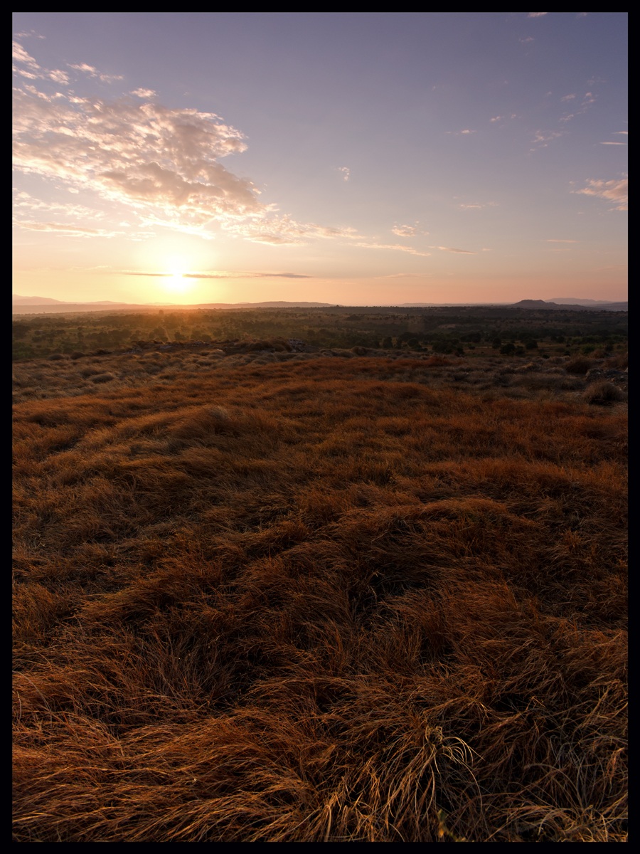 Sunrise in Tanzania II