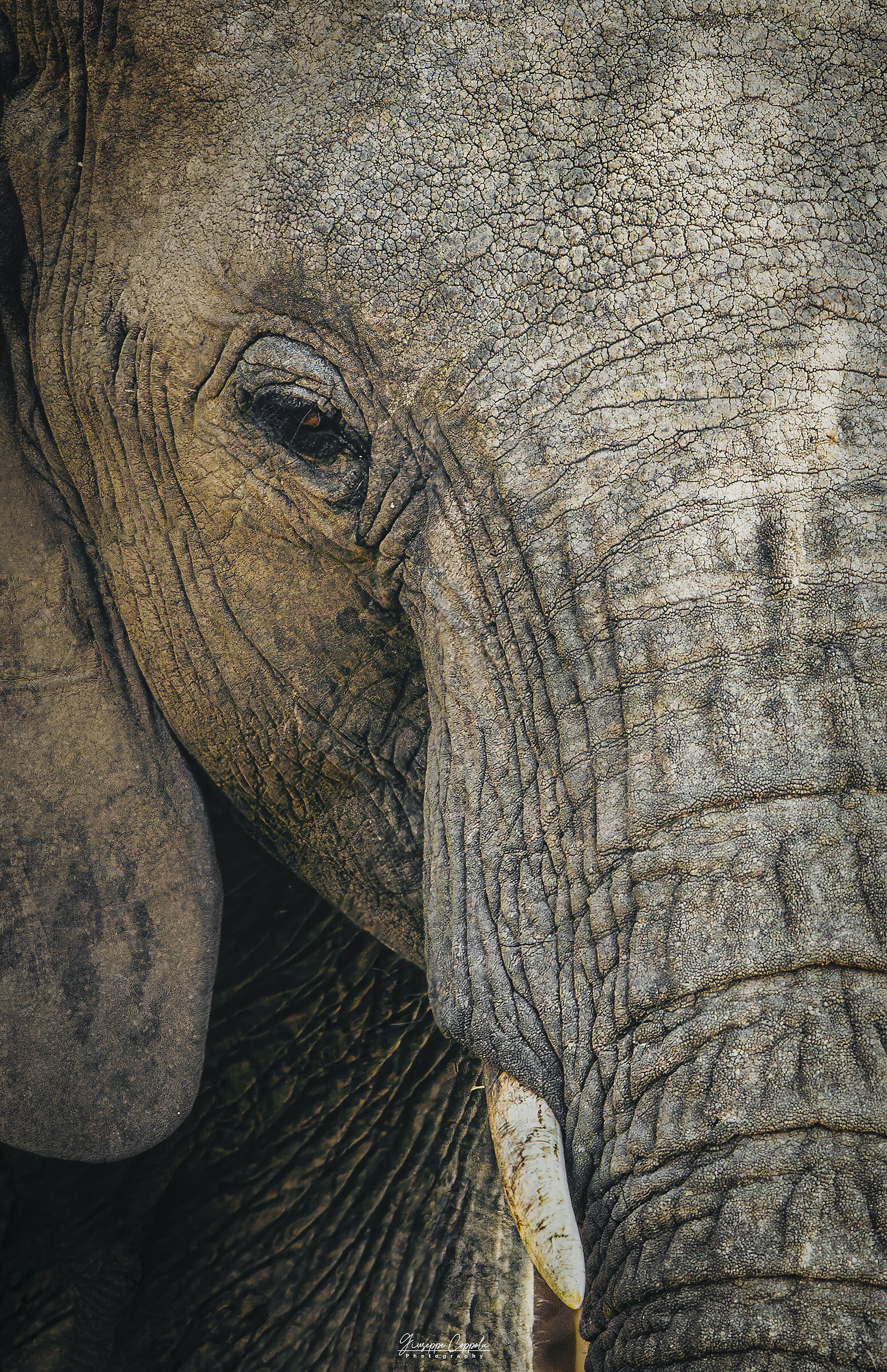 Kruger National Park