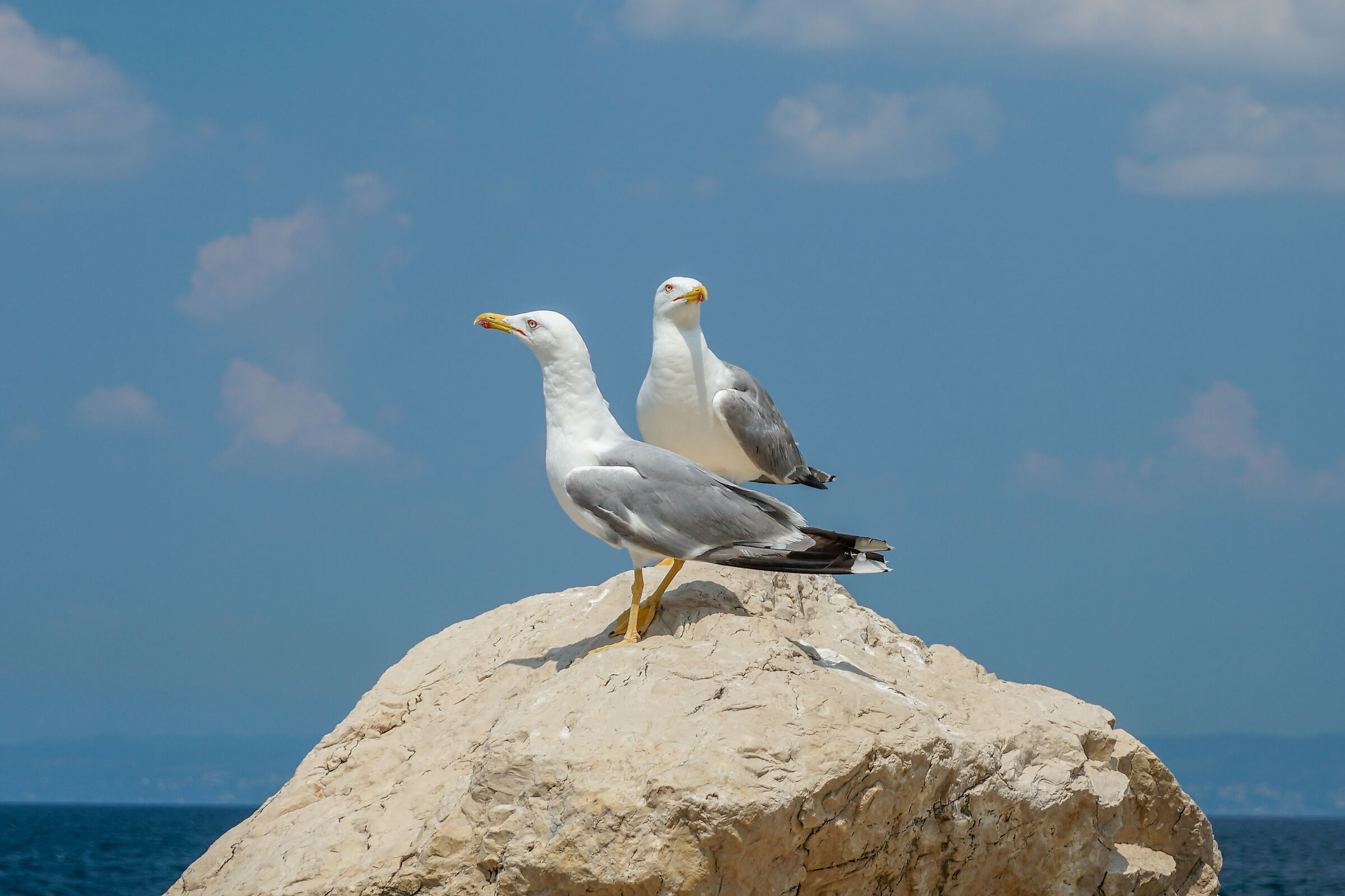 The two lookouts