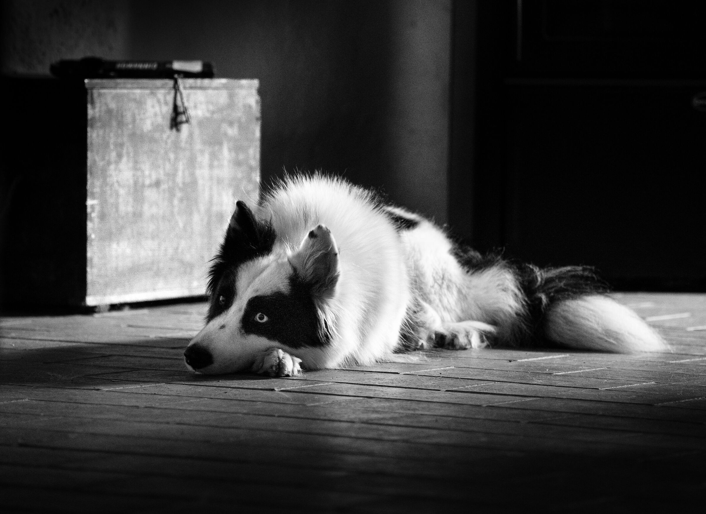 Dakota, malincolica.