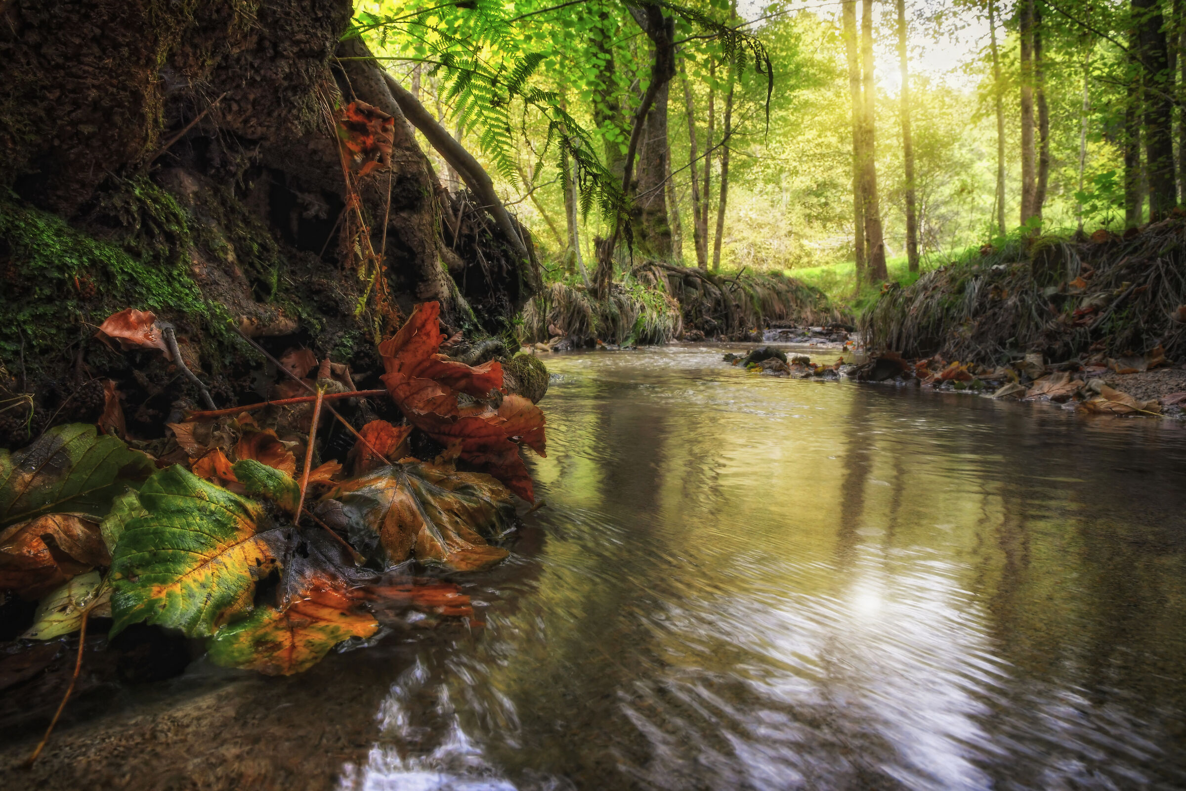 Il respiro dell'acqua