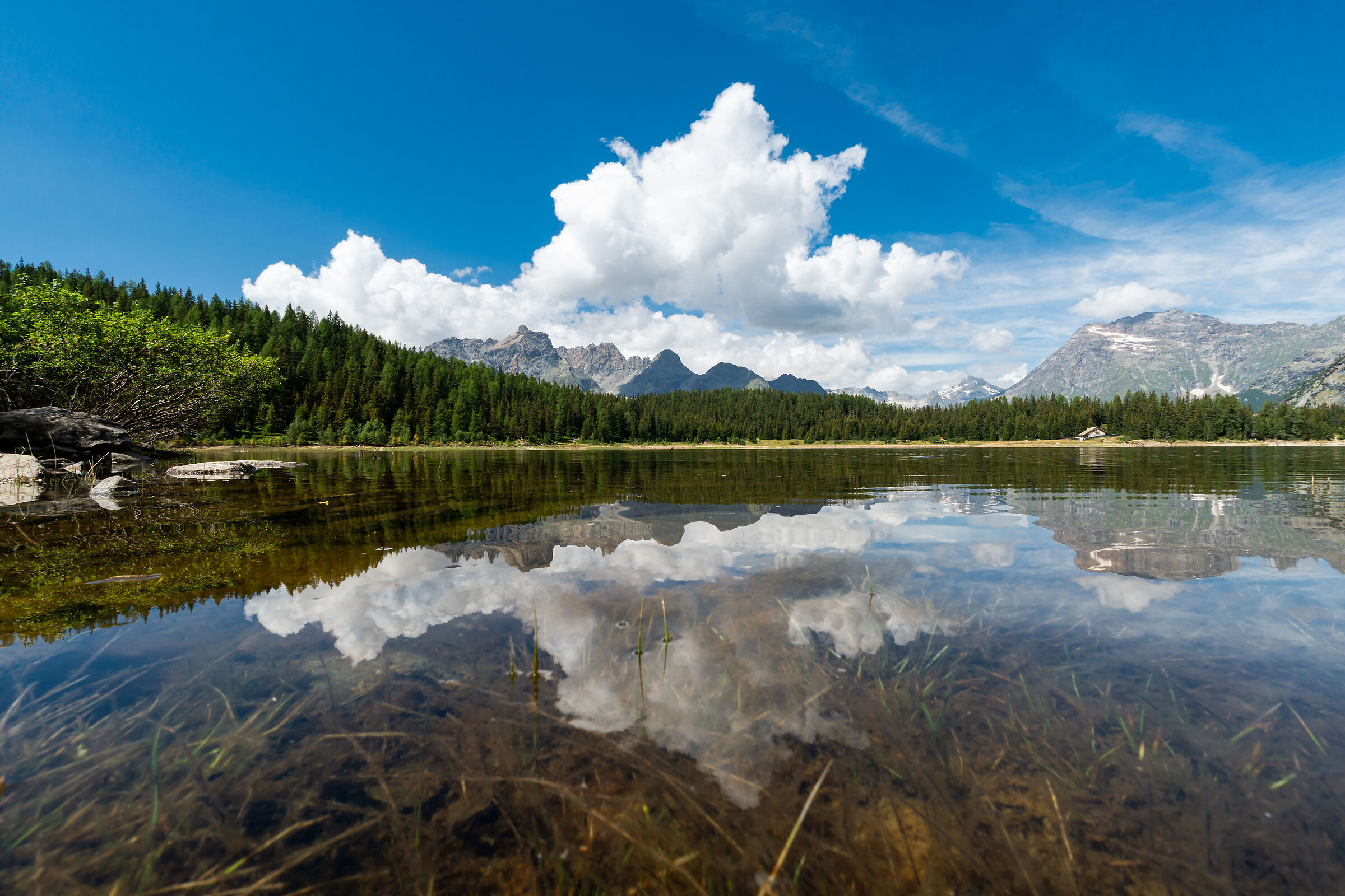 Riflessi al Lago Palu' Valmalenco 2024