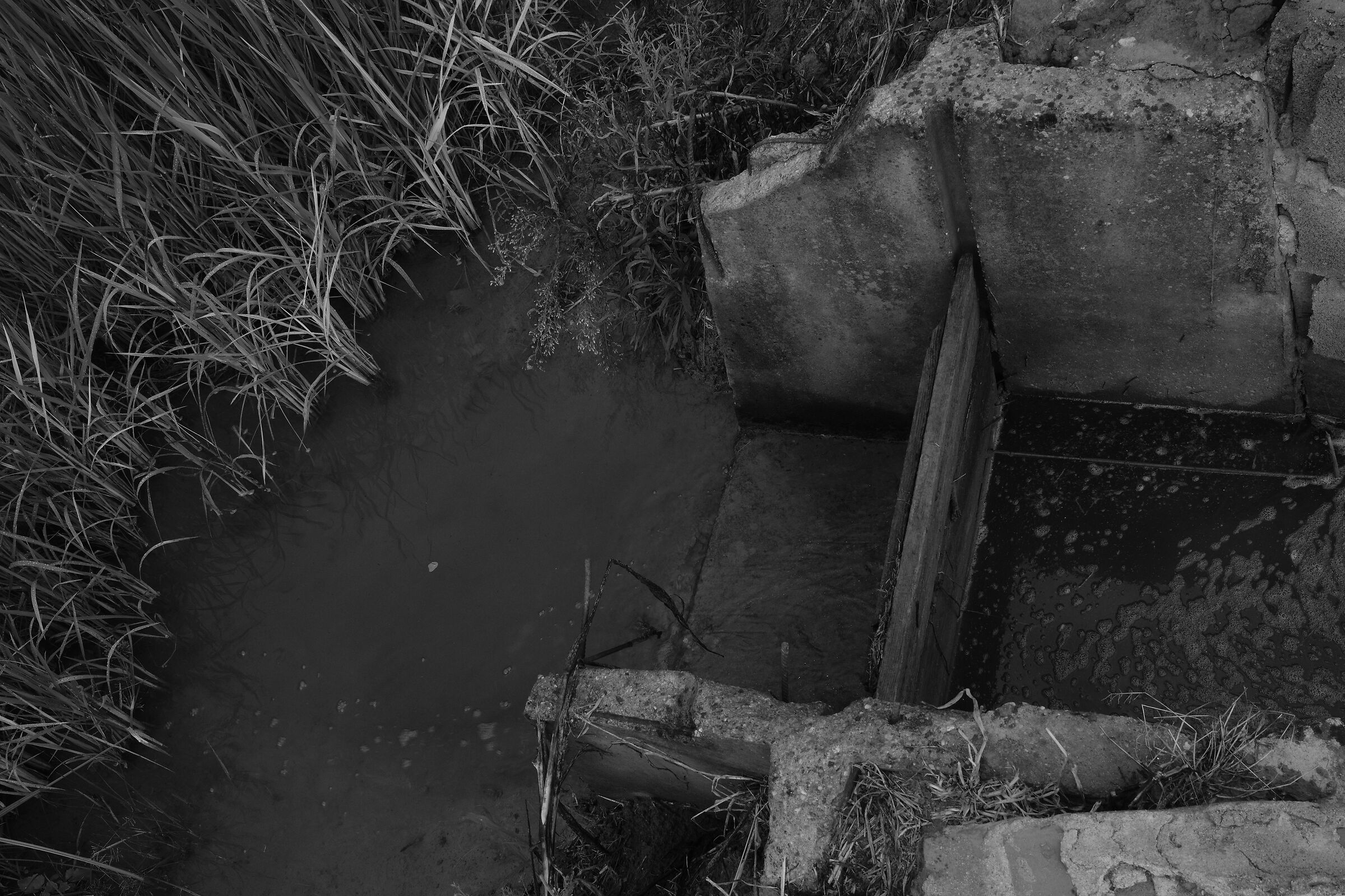 Chiusa di irrigazione con paratia in legno