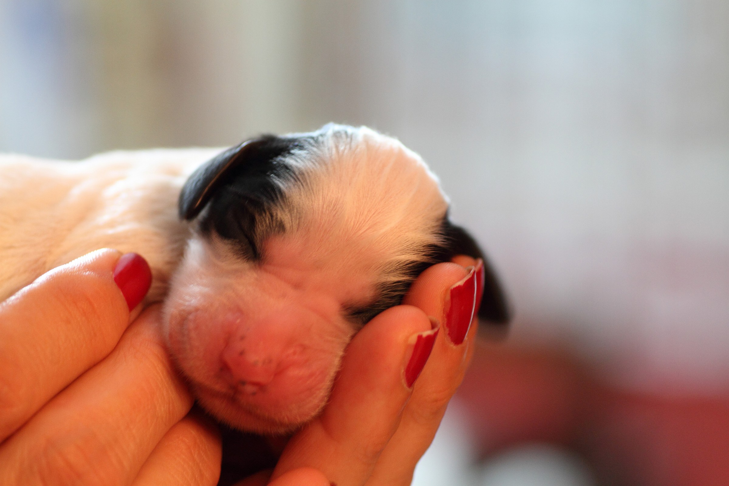 Tired after 24 hours of life!