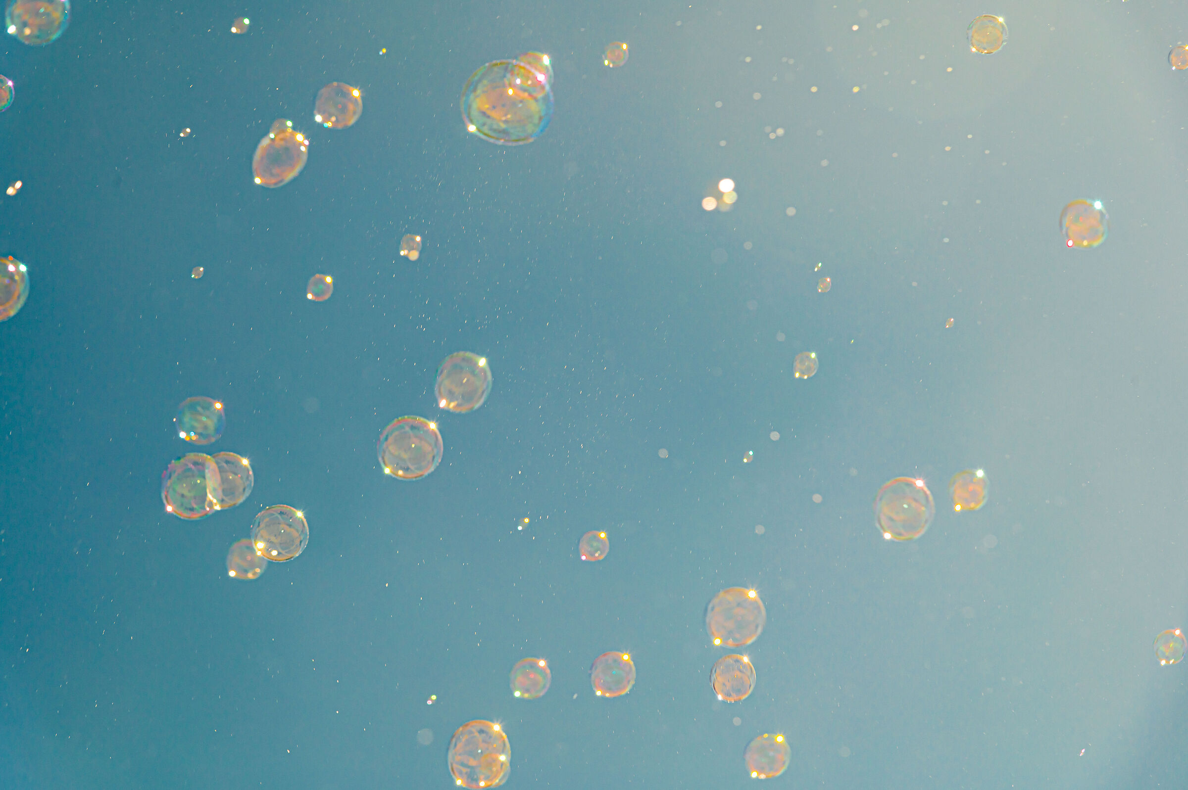 Soap bubbles