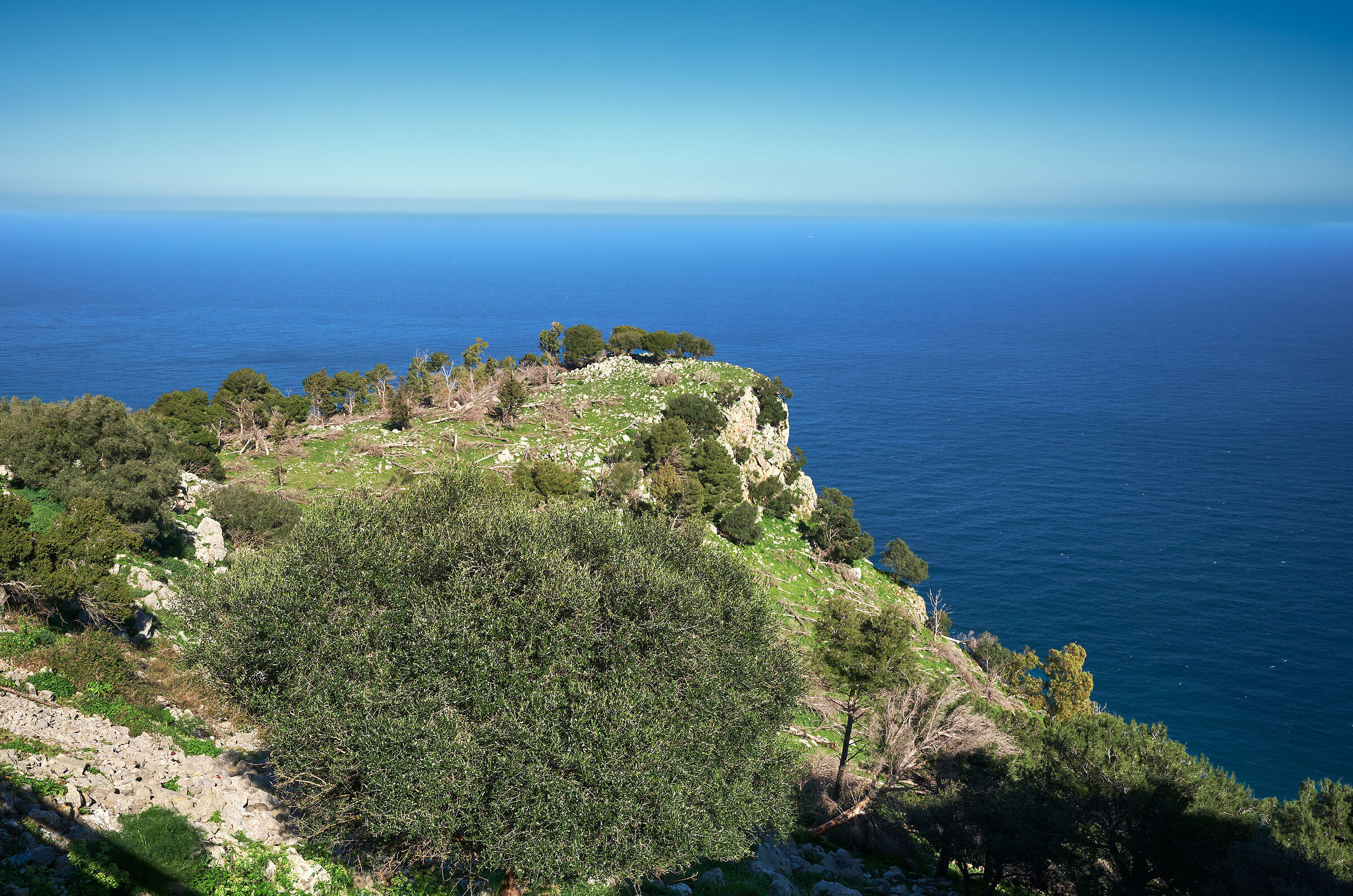 Goethe liked it, as well as Santuzza!