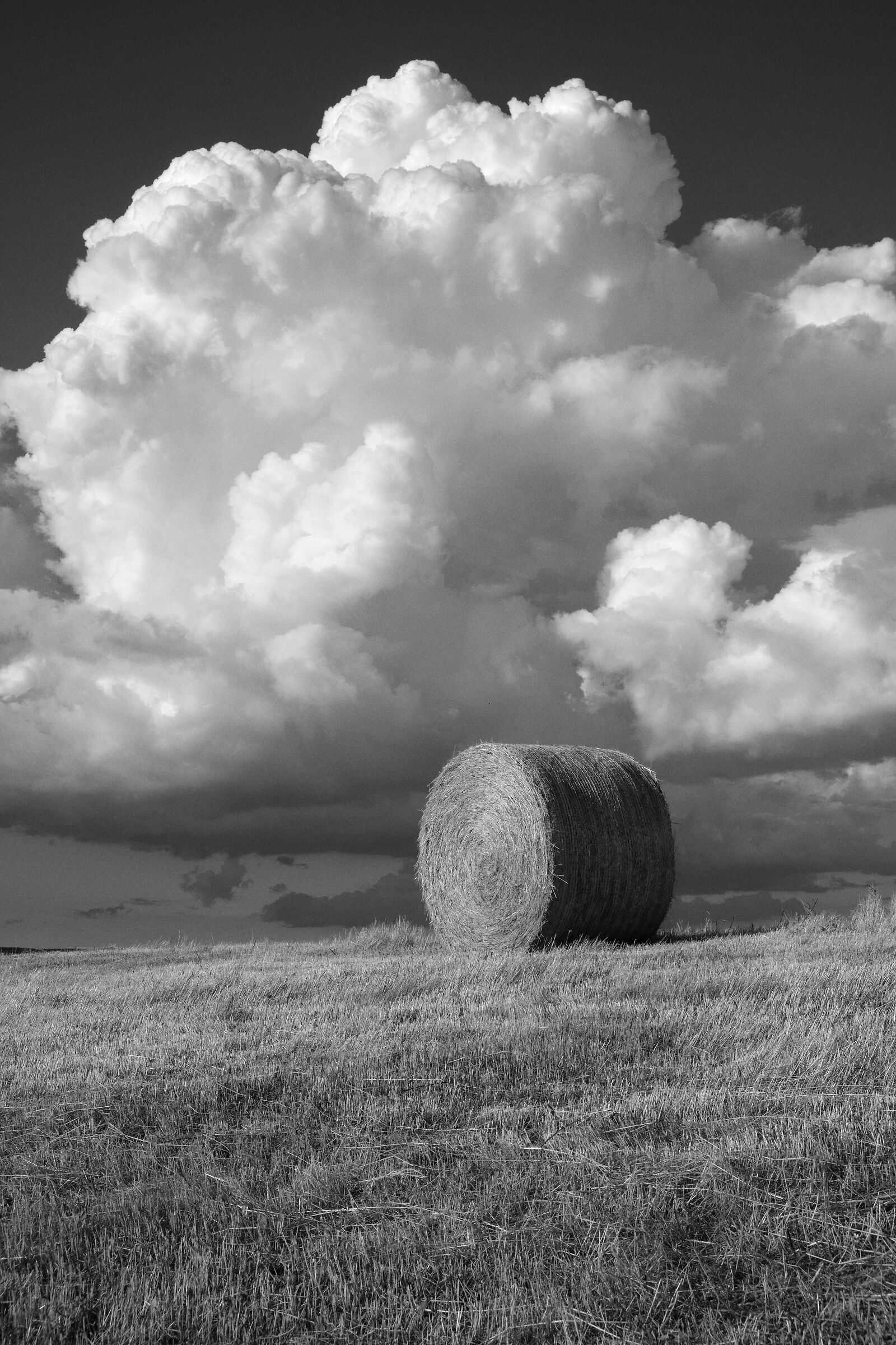 The big sky
