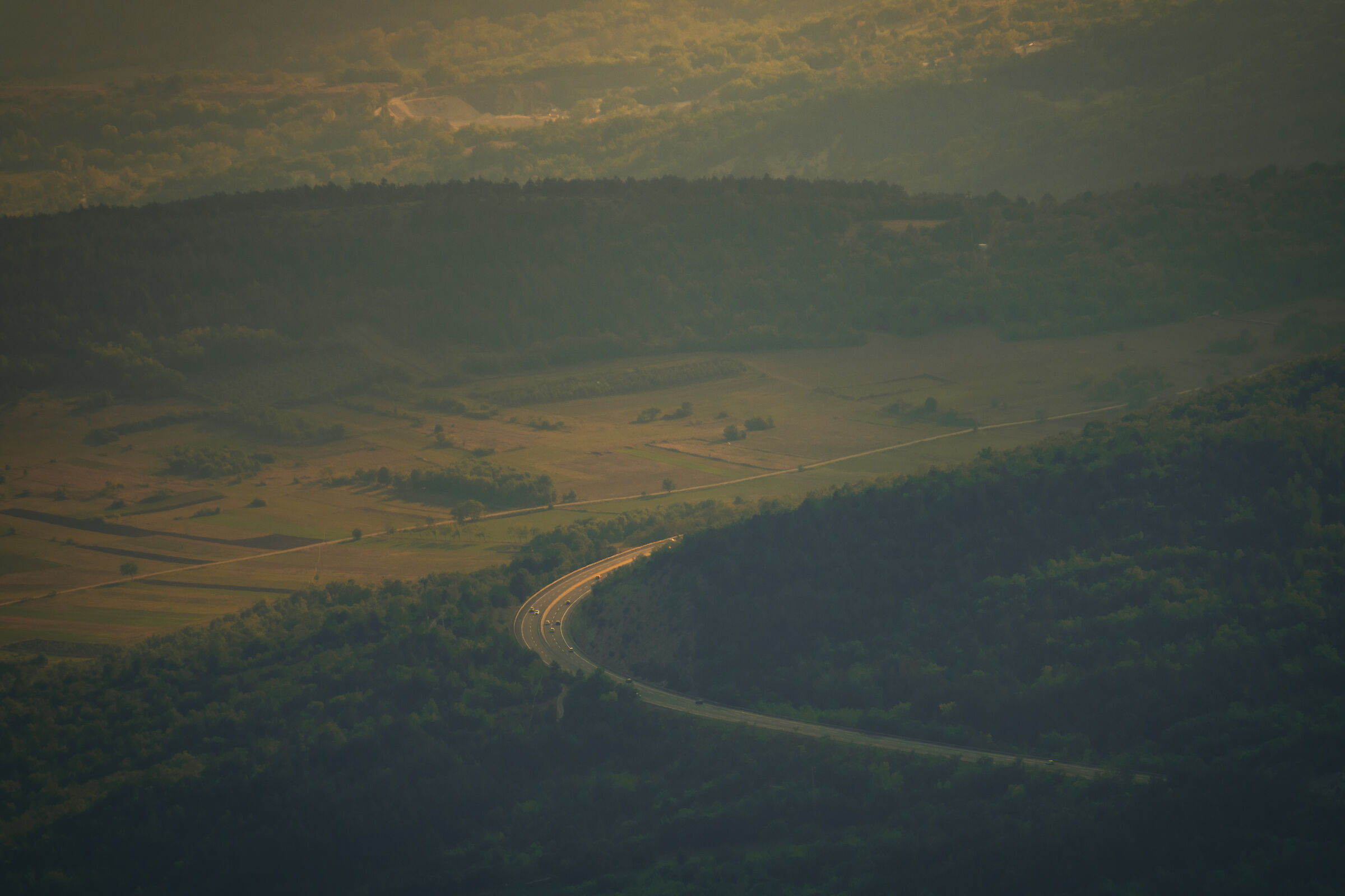 Untitled Photo