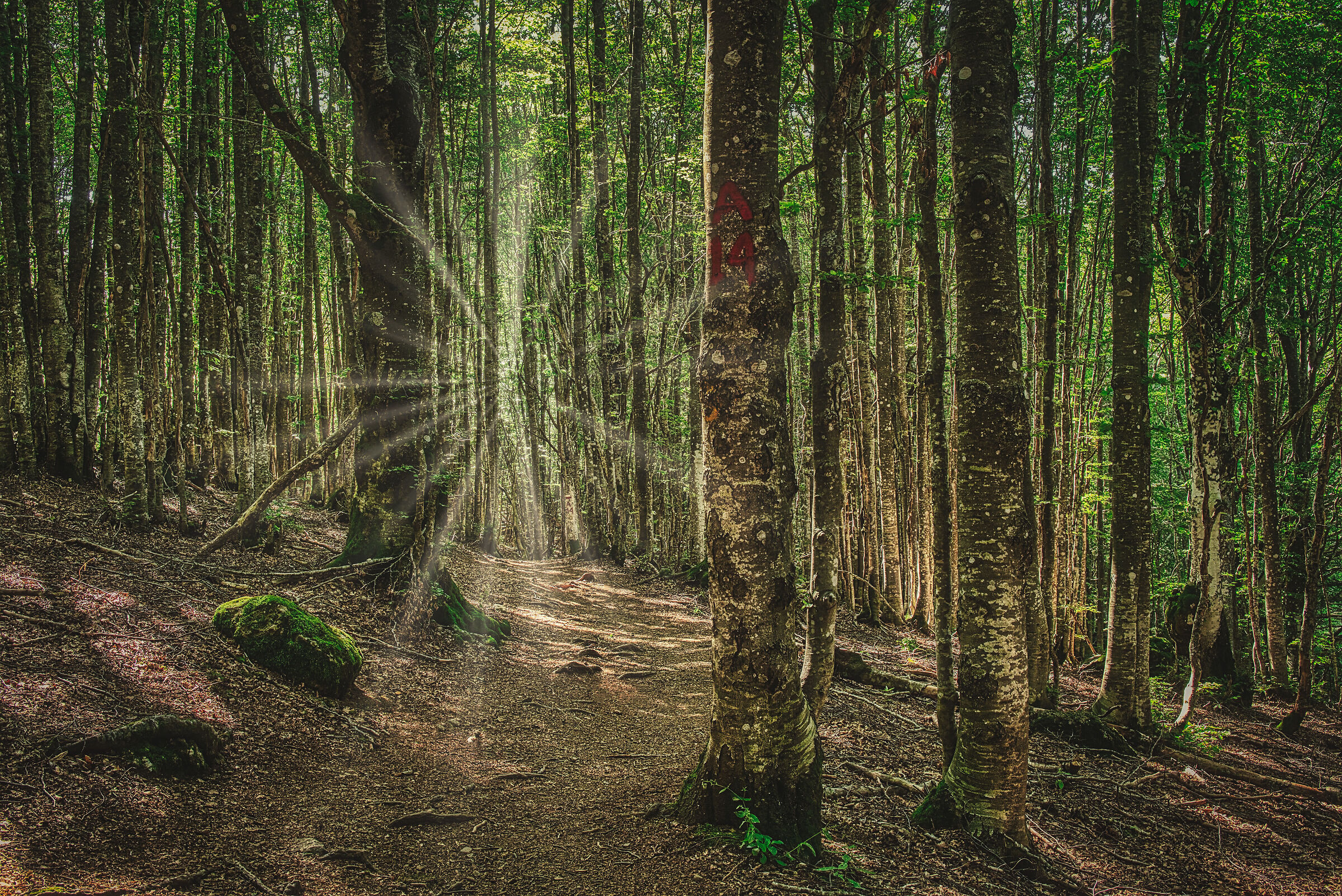 Luce sull'Appennino ligure