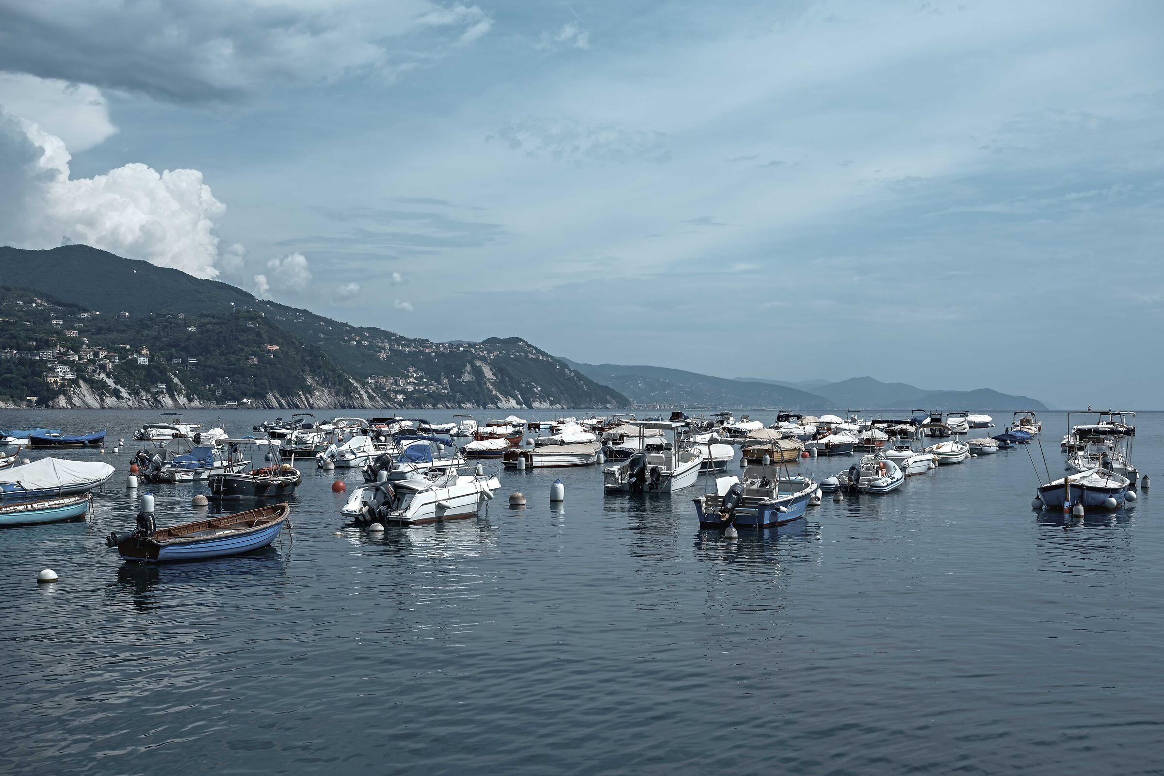 Una giornata così così