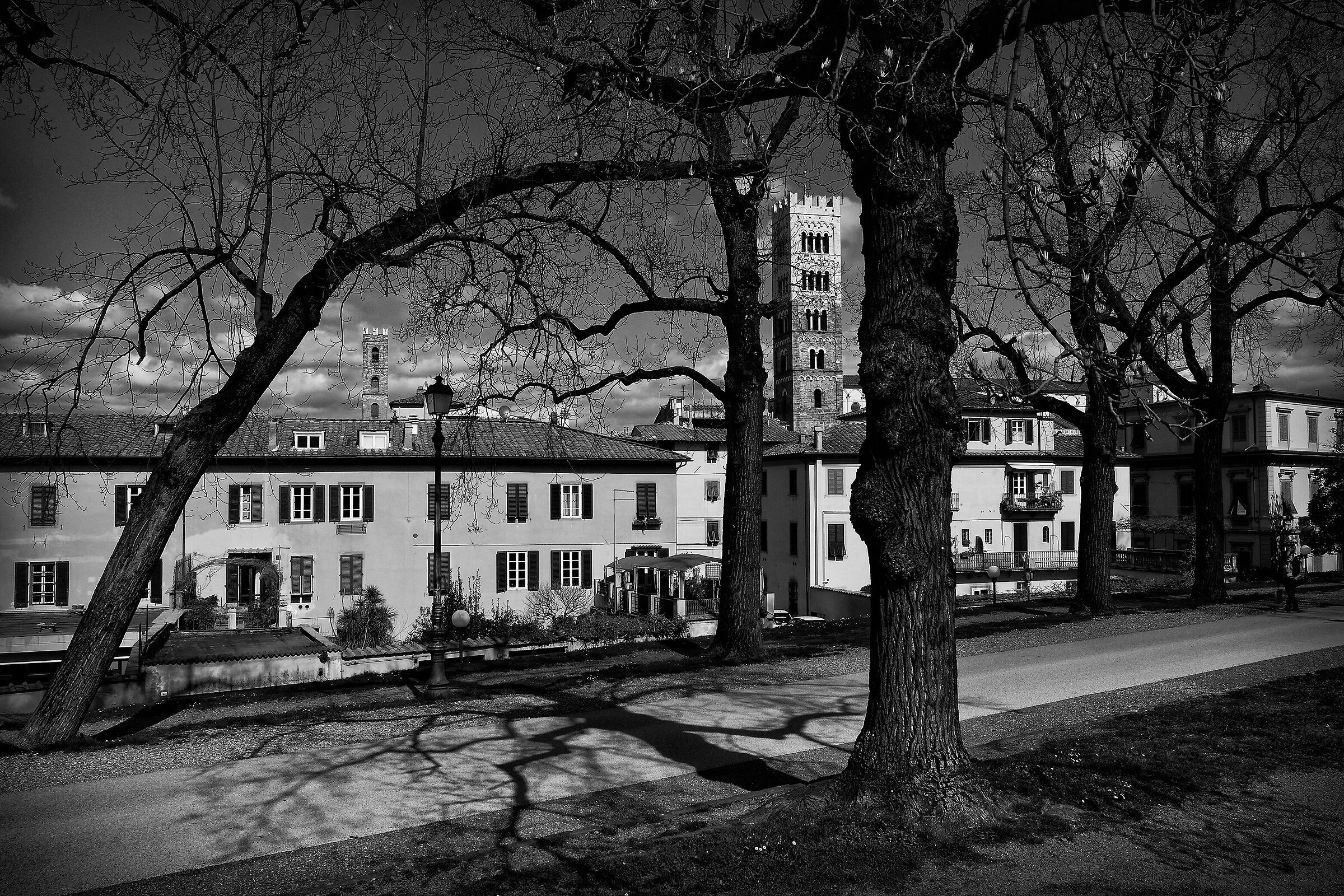 Lucca, sulla Mura, d'Inverno 2