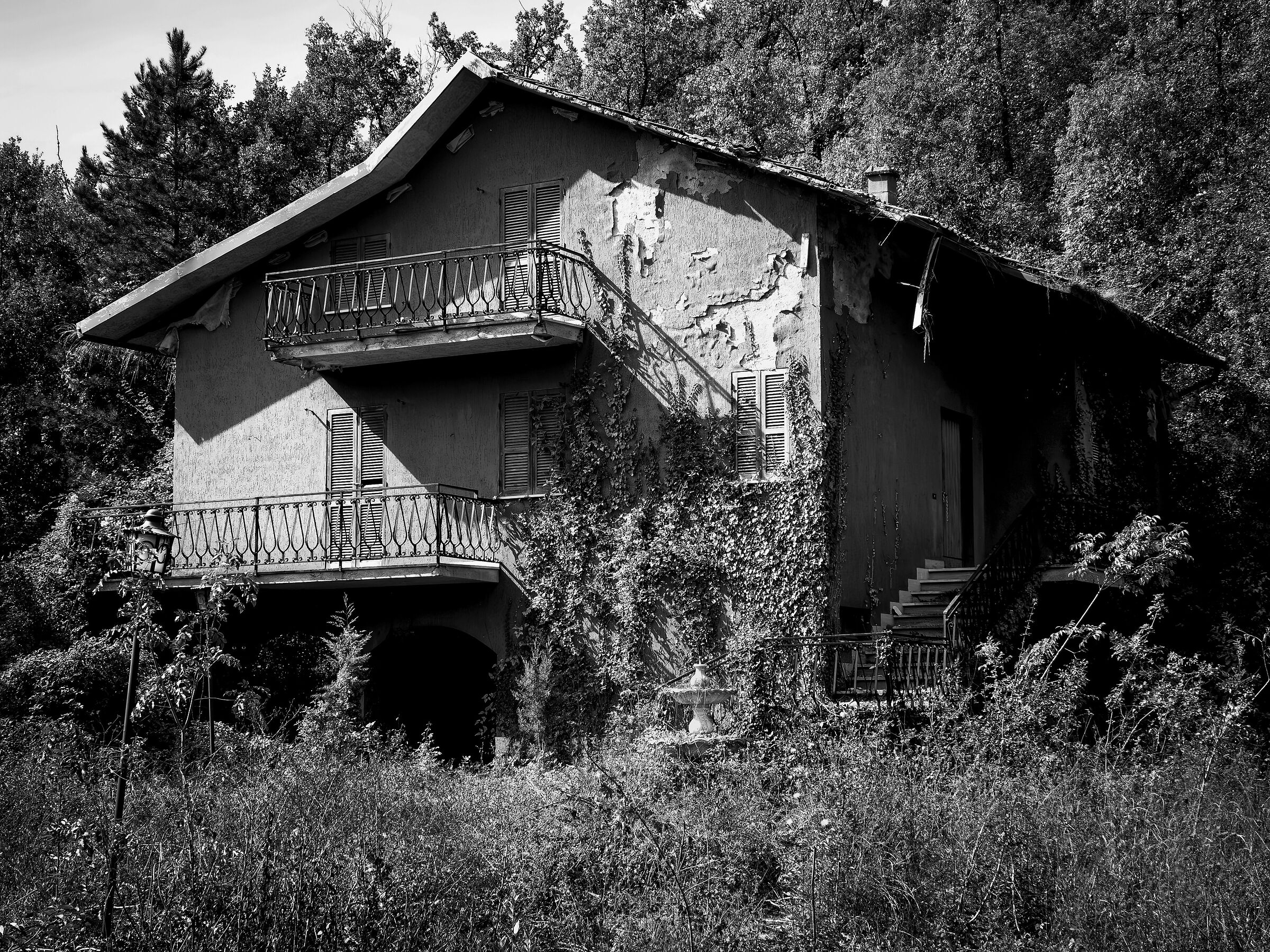 That house in the woods