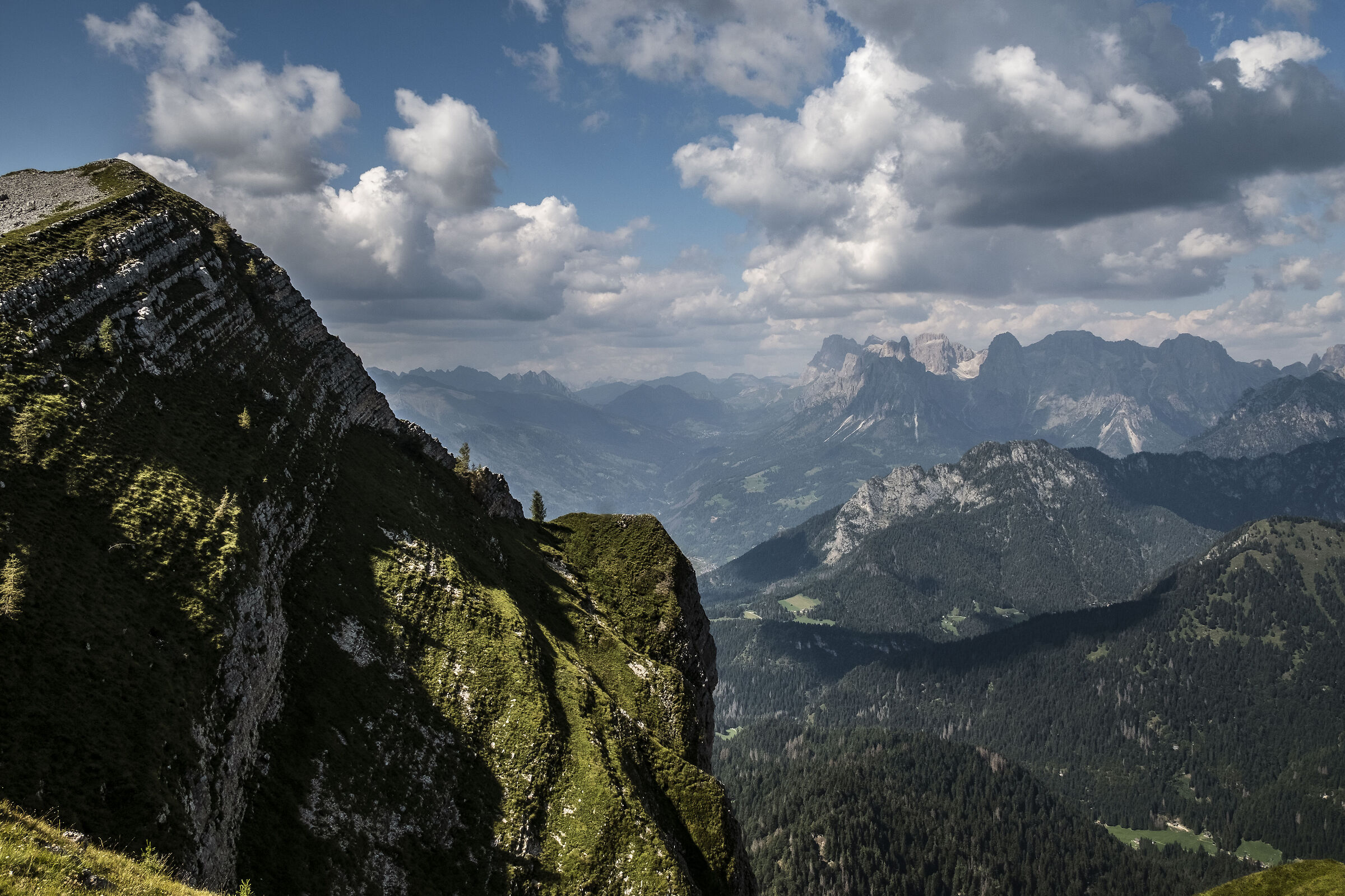 Le pale di San Martino da Sasso Sgarnia