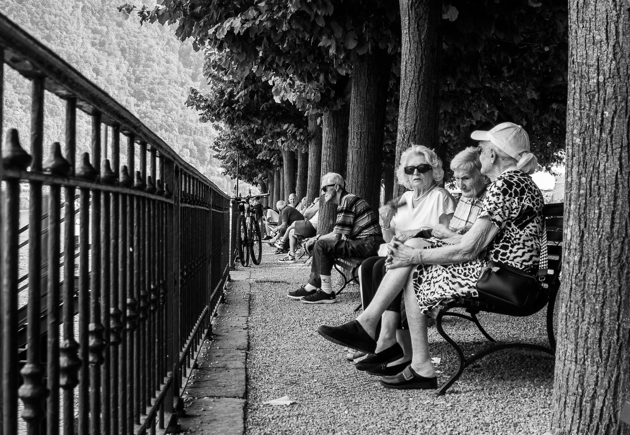 Domenica pomeriggio!