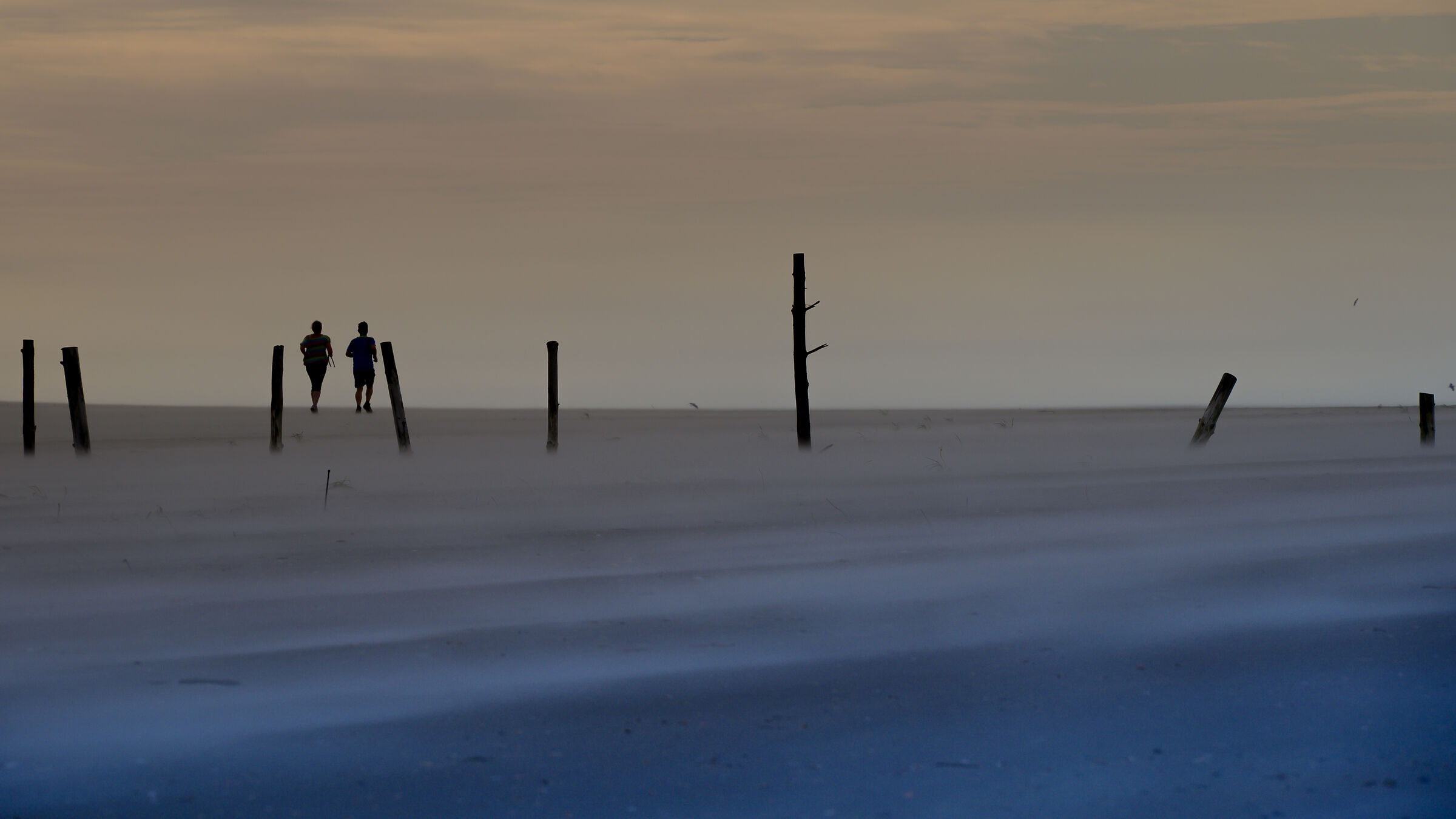 Danish runner on the beach