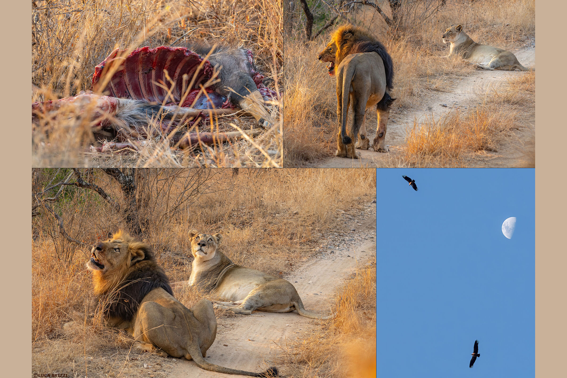 Cara mi sa che abbiamo ospiti a cena...