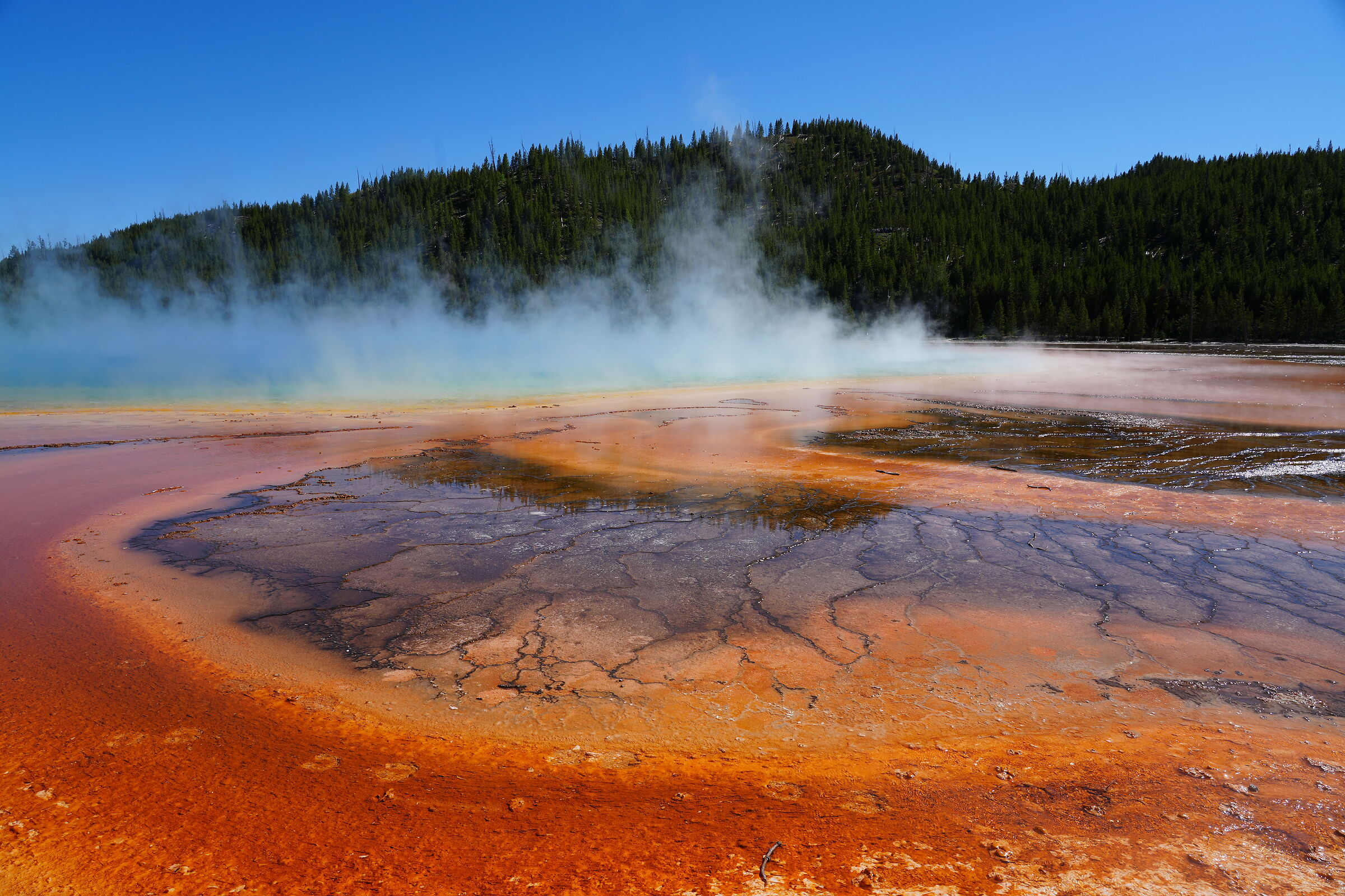 Yellowstone National Park