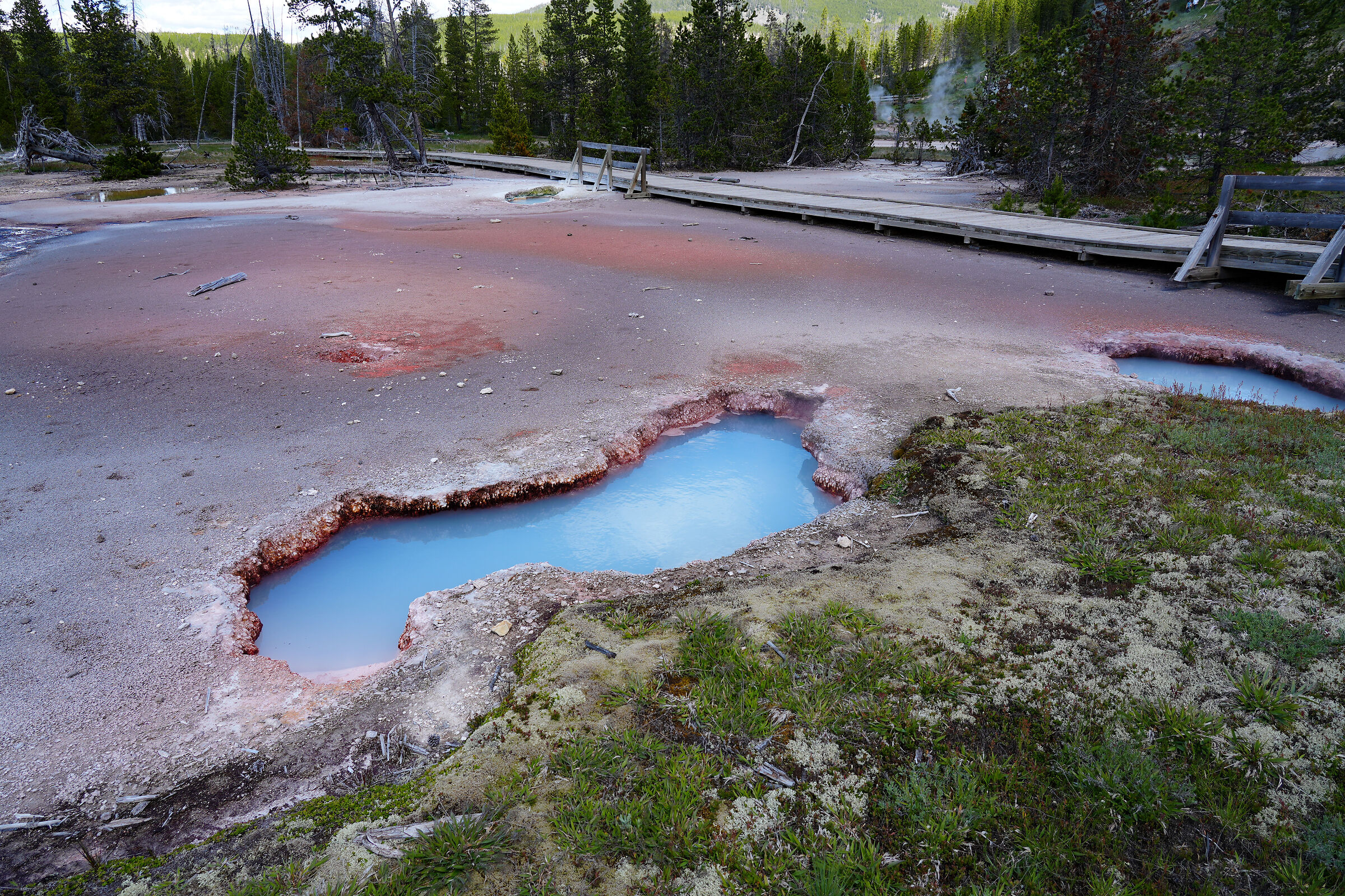 Yellowstone National Park