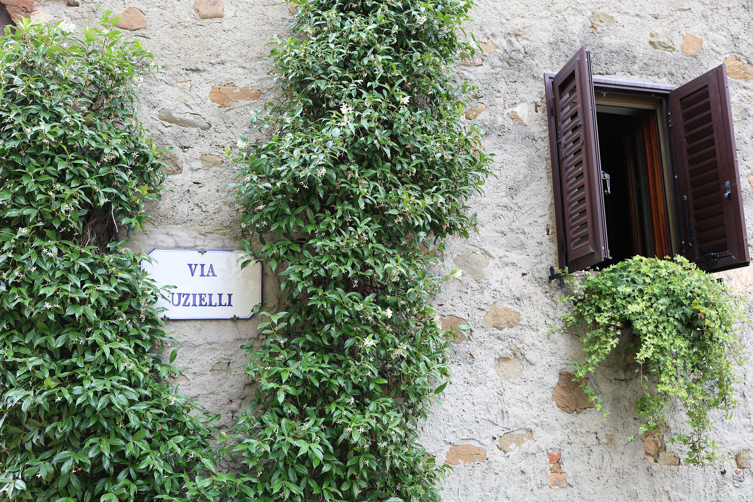 Canon 5 D IV, 35, F.2 IS USM