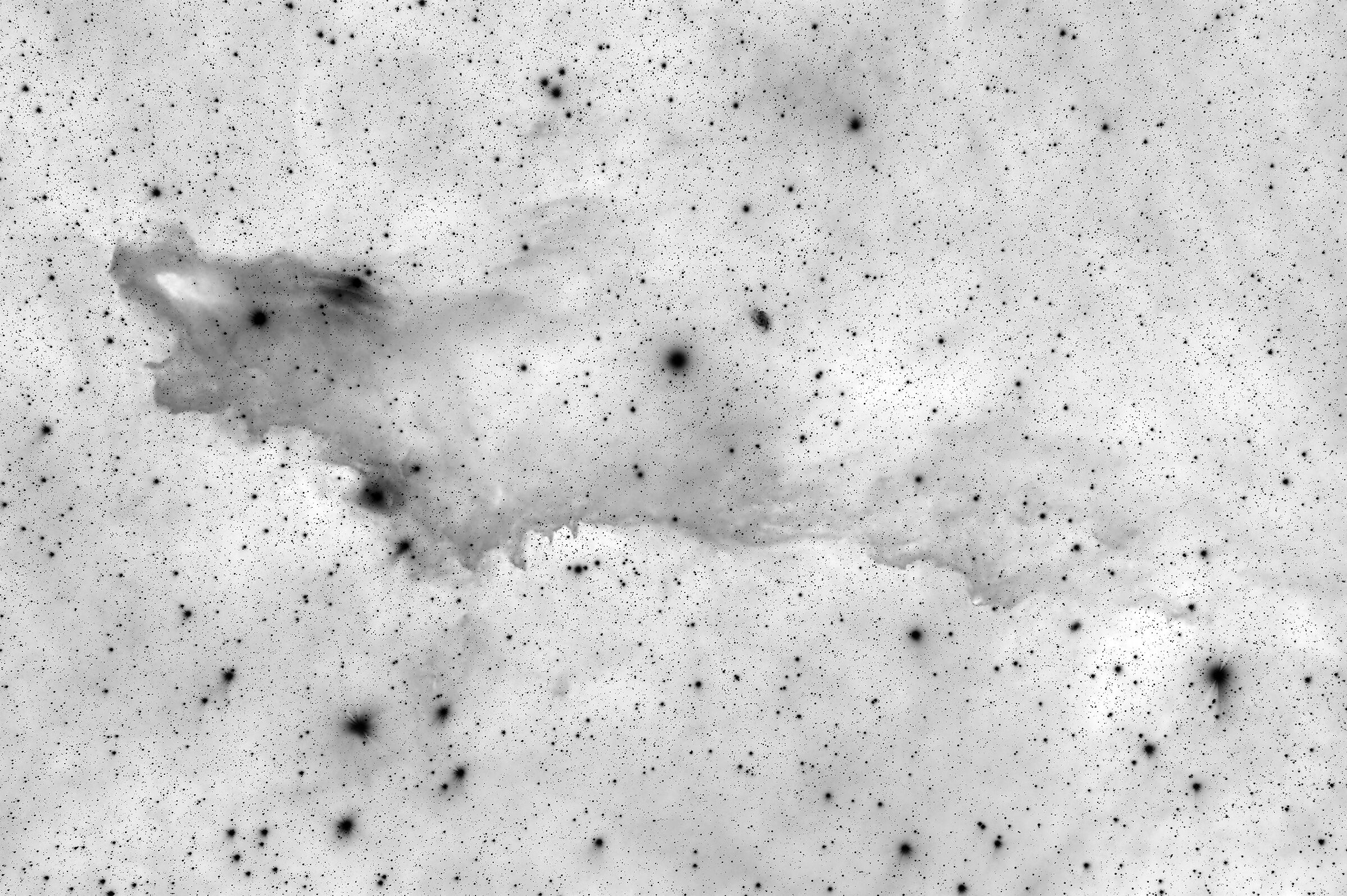 Nebulosa Squalo con colori invertiti