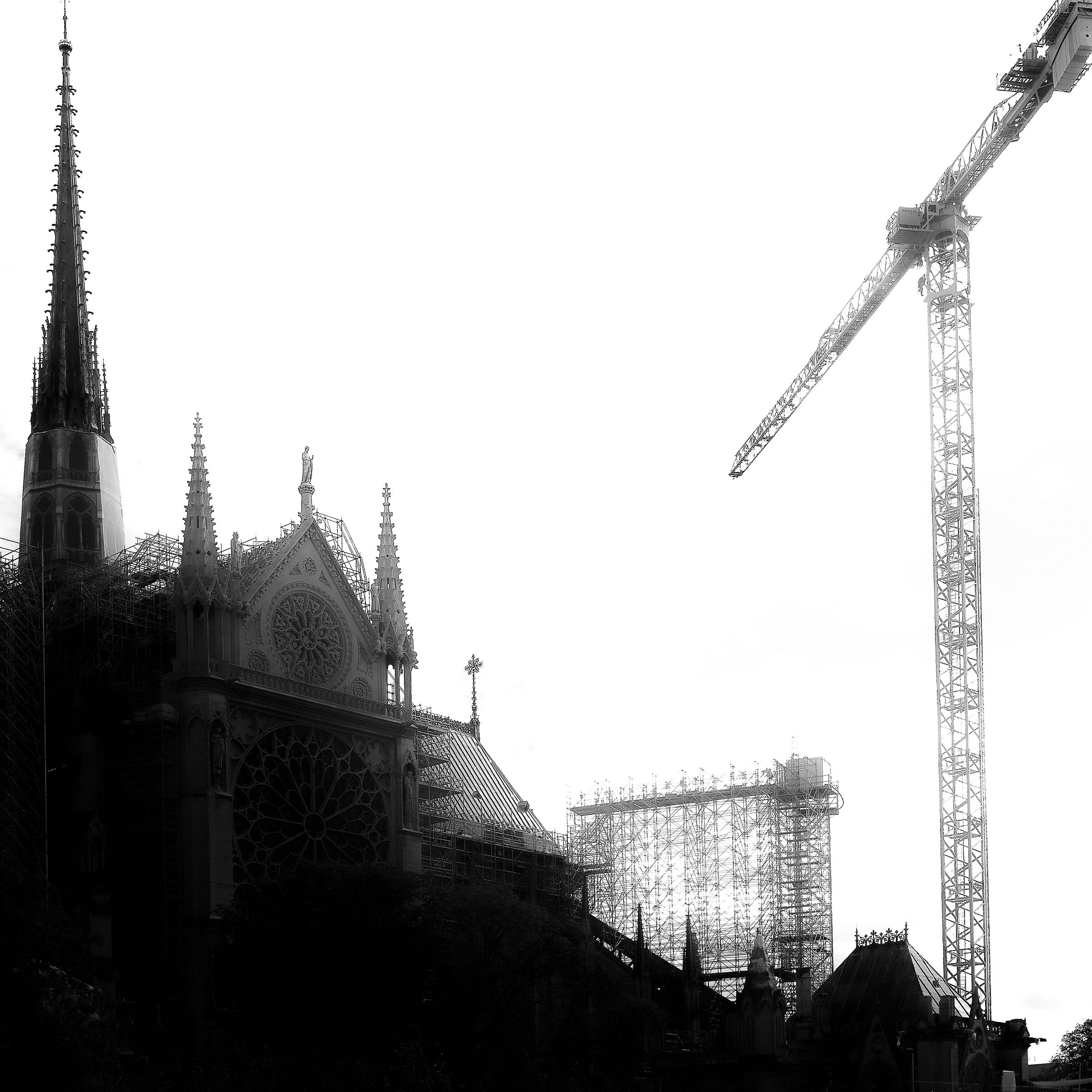 Notredame