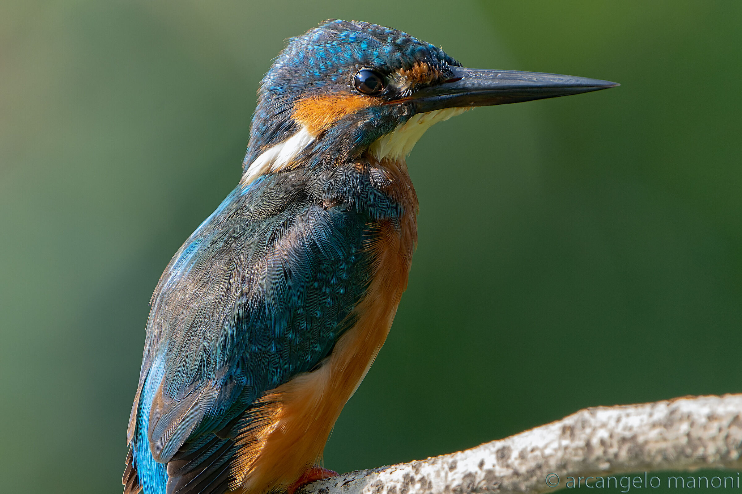 The sun and the sky in his eyes