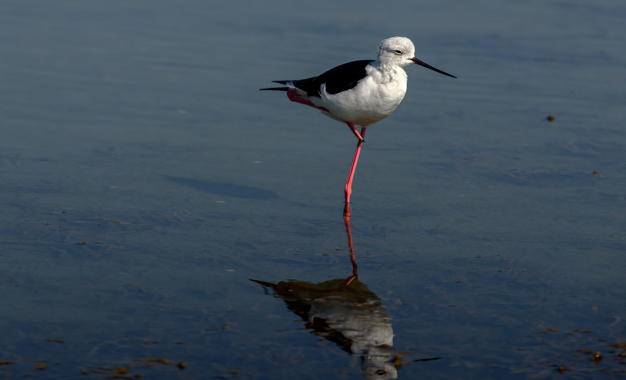 Tightrope walker