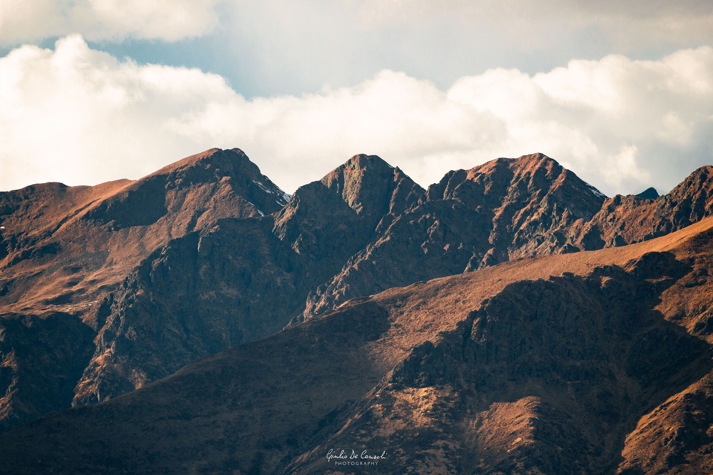 Accarezzate dal sole