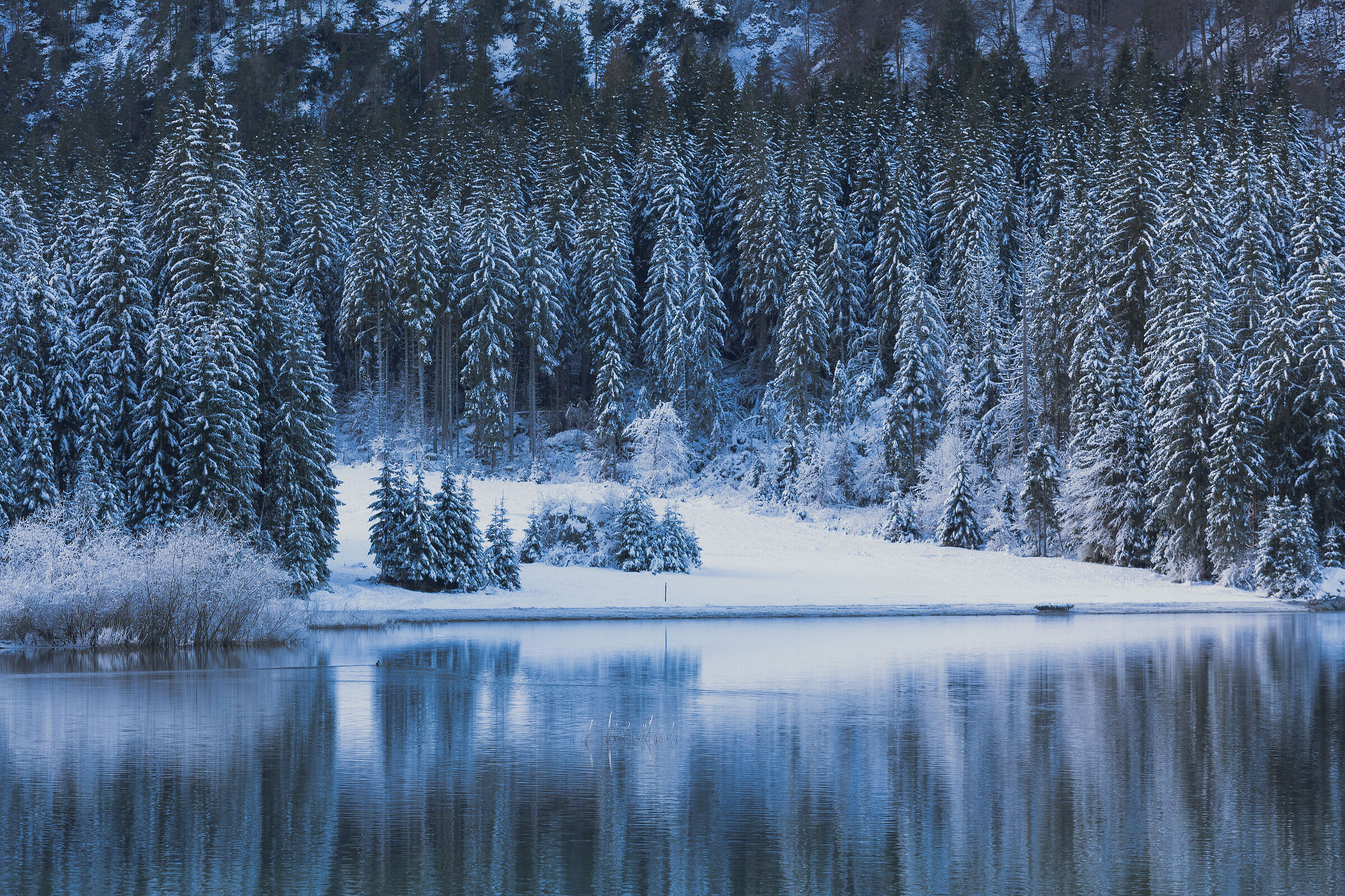 Inverni a fusine