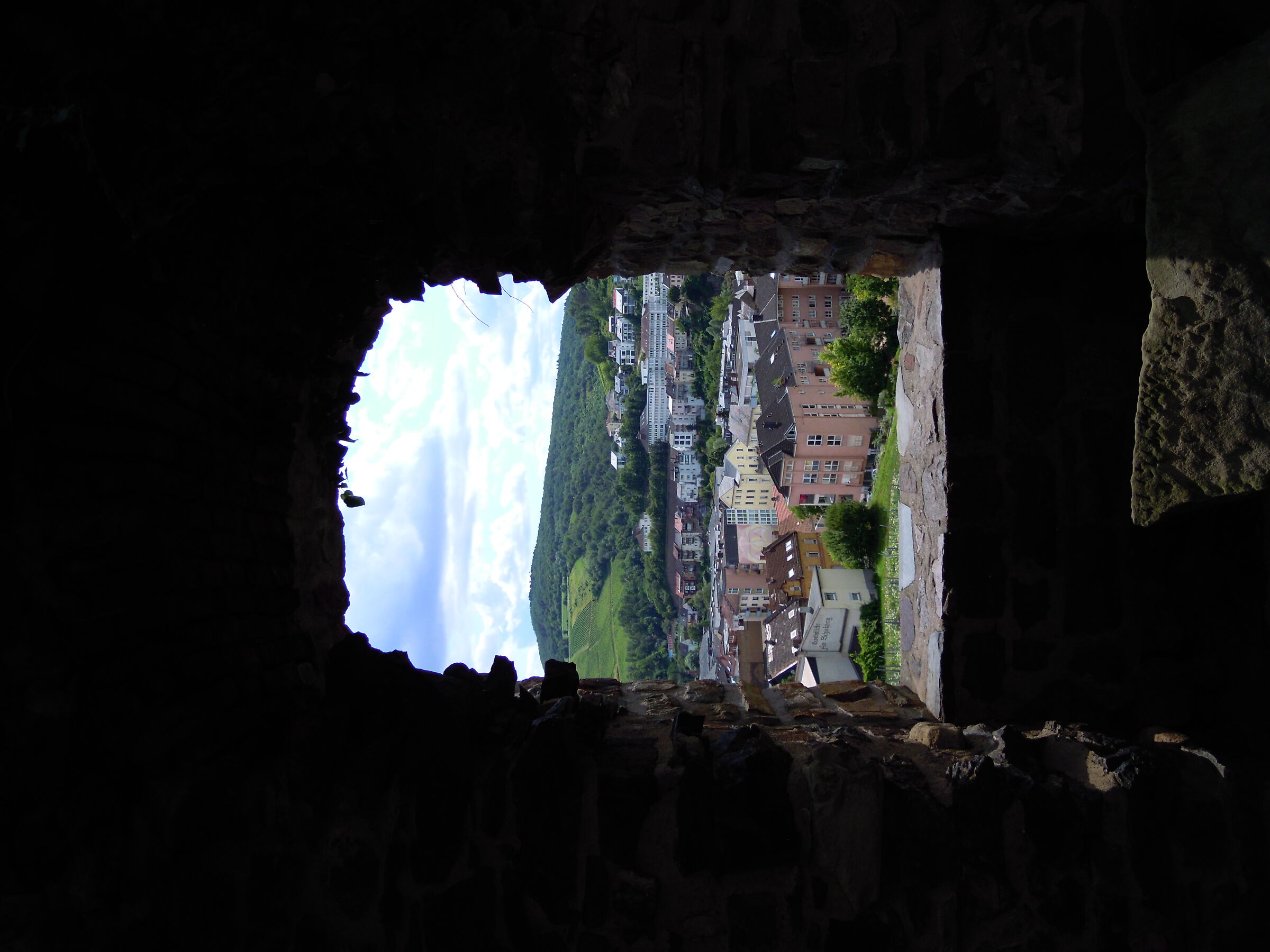 Bingen am Rhein: Scorcio