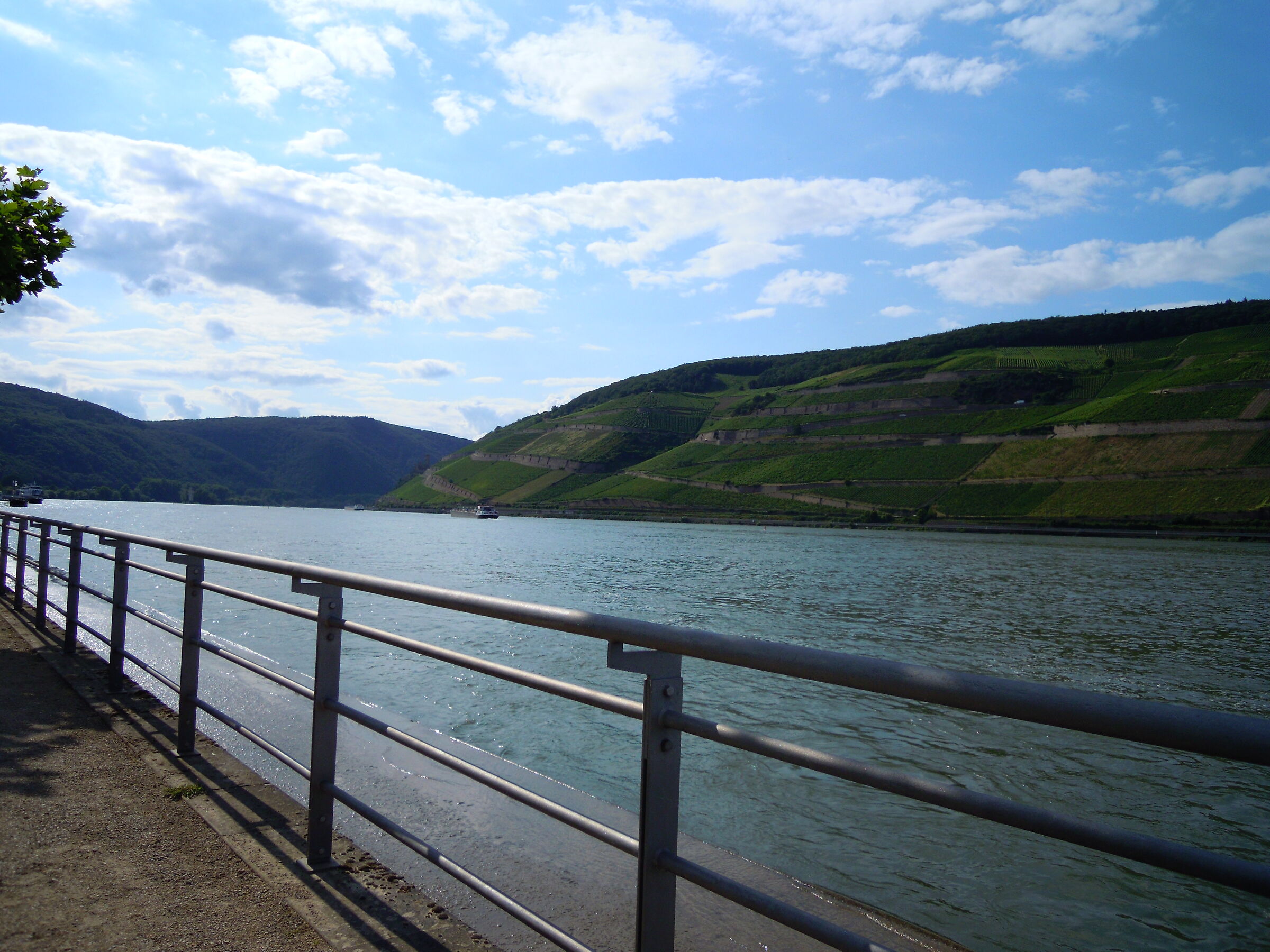 Bingen am Rhein: Percorso sul Reno