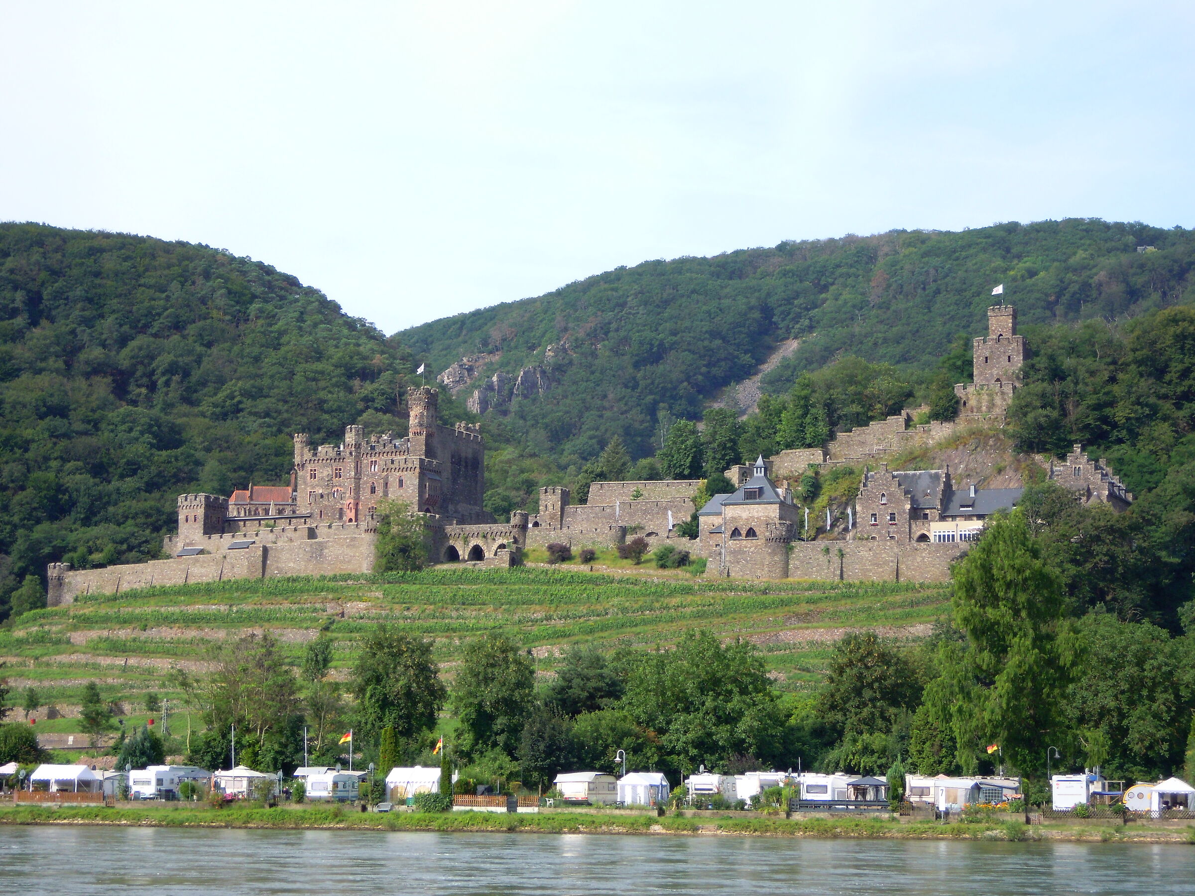 Burg Rheinstein