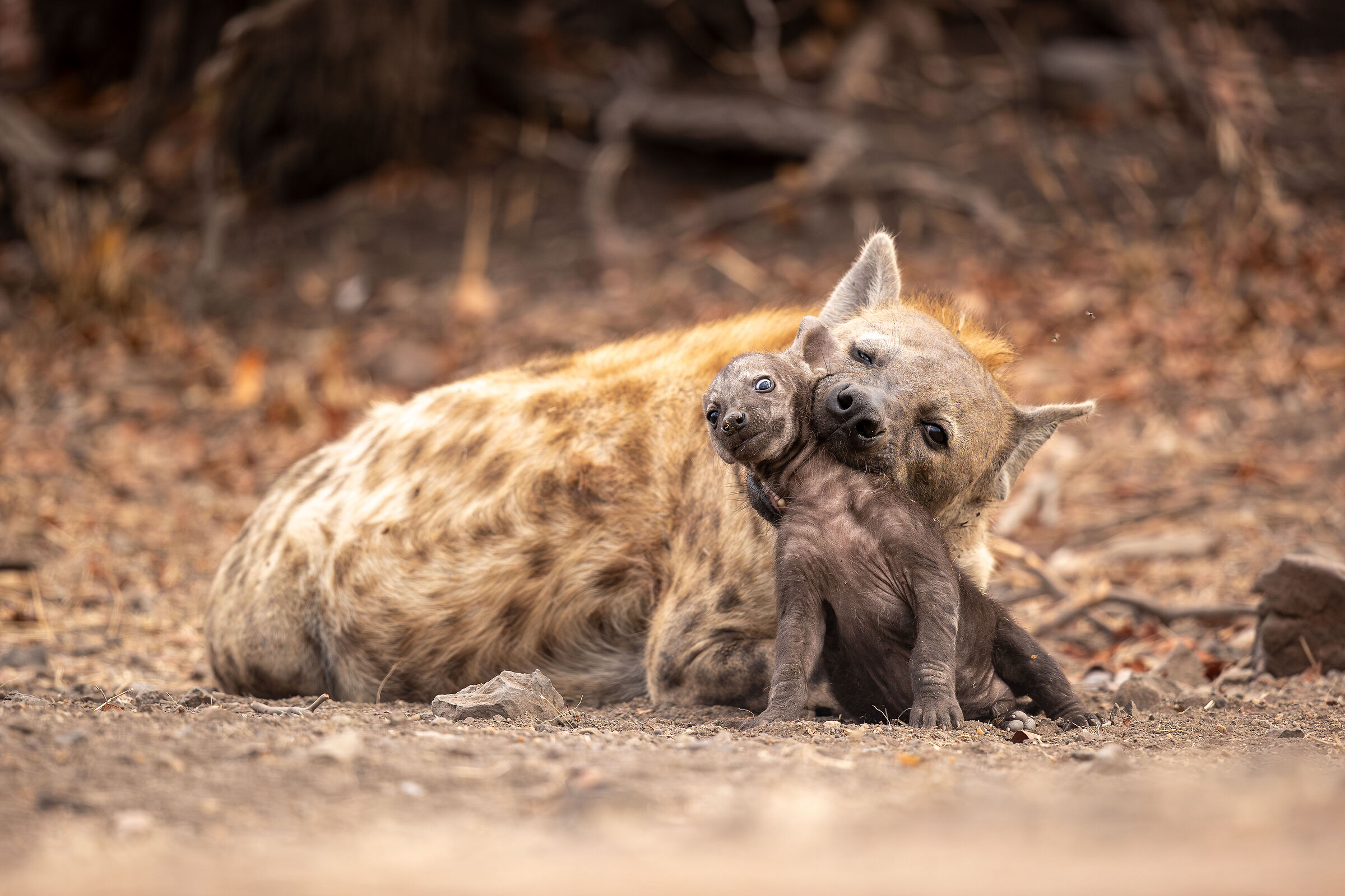 Mommy's little cutie...