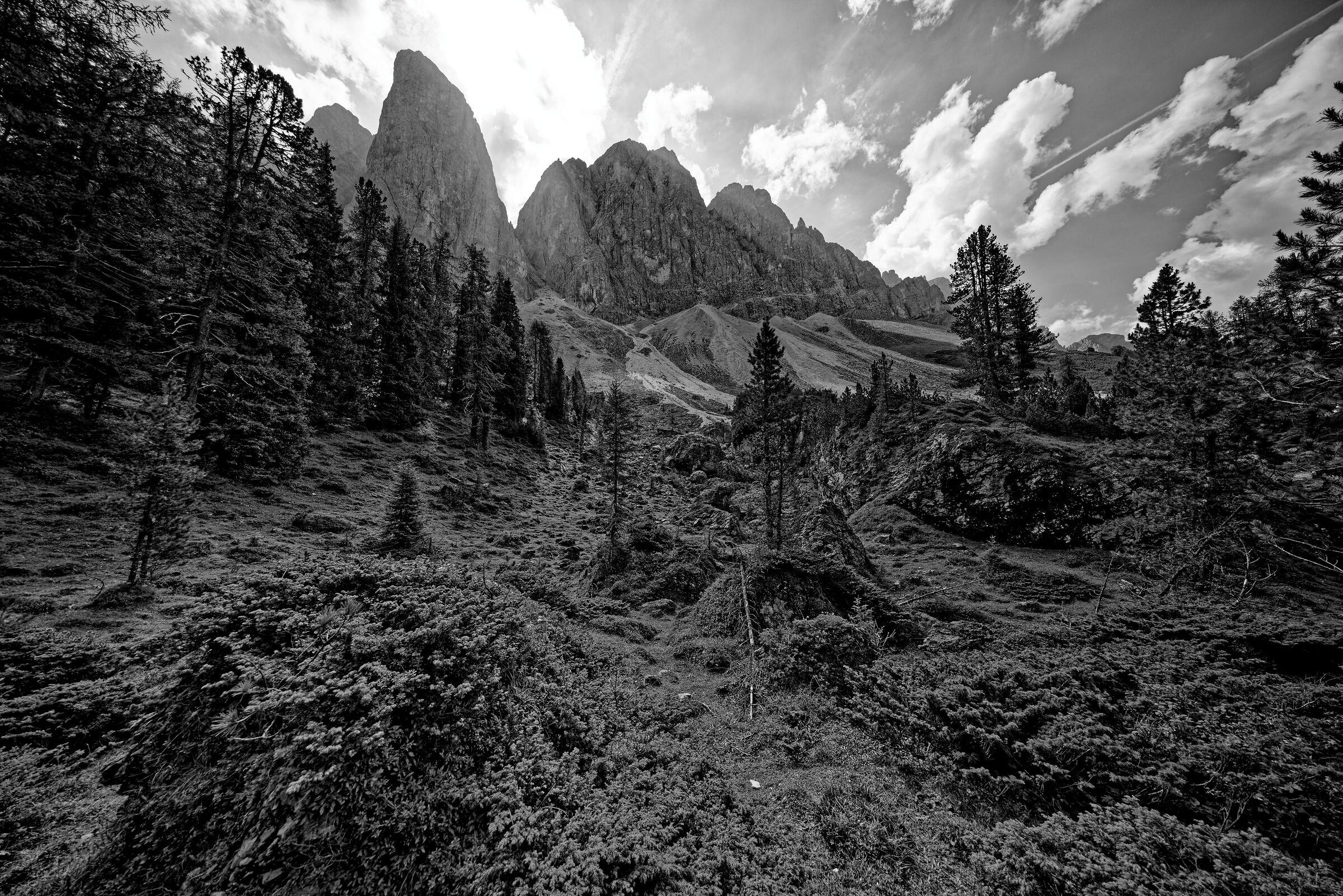 Adolf Munkel Weg - Geisler gruppe