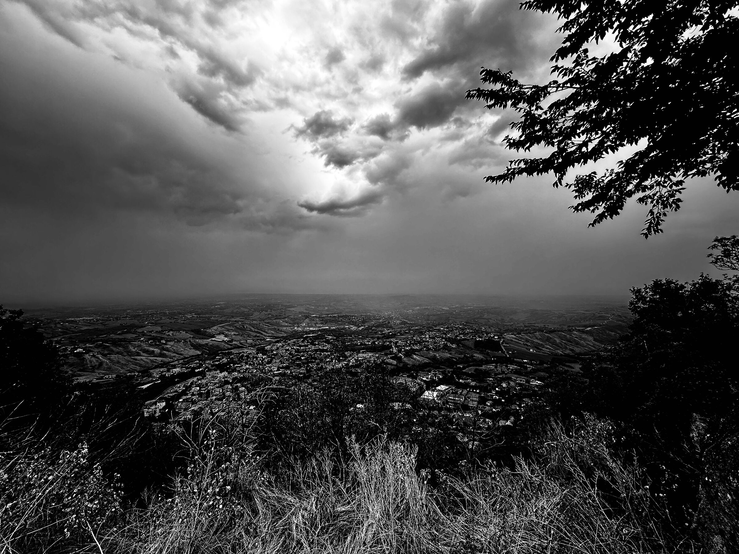 Untitled Photo