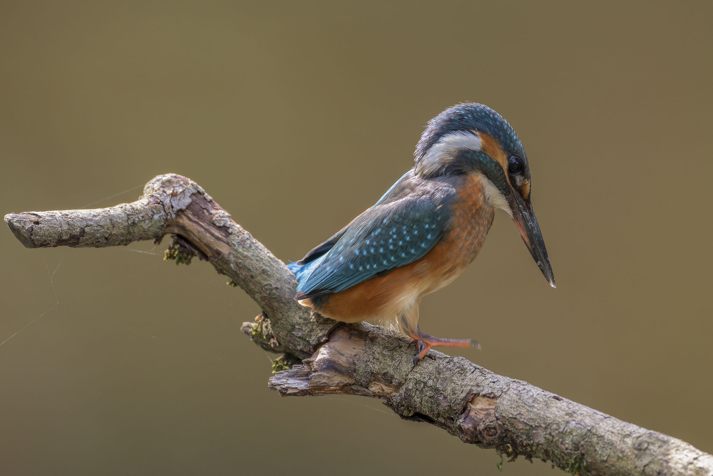 And nothing ..... She was offended!!