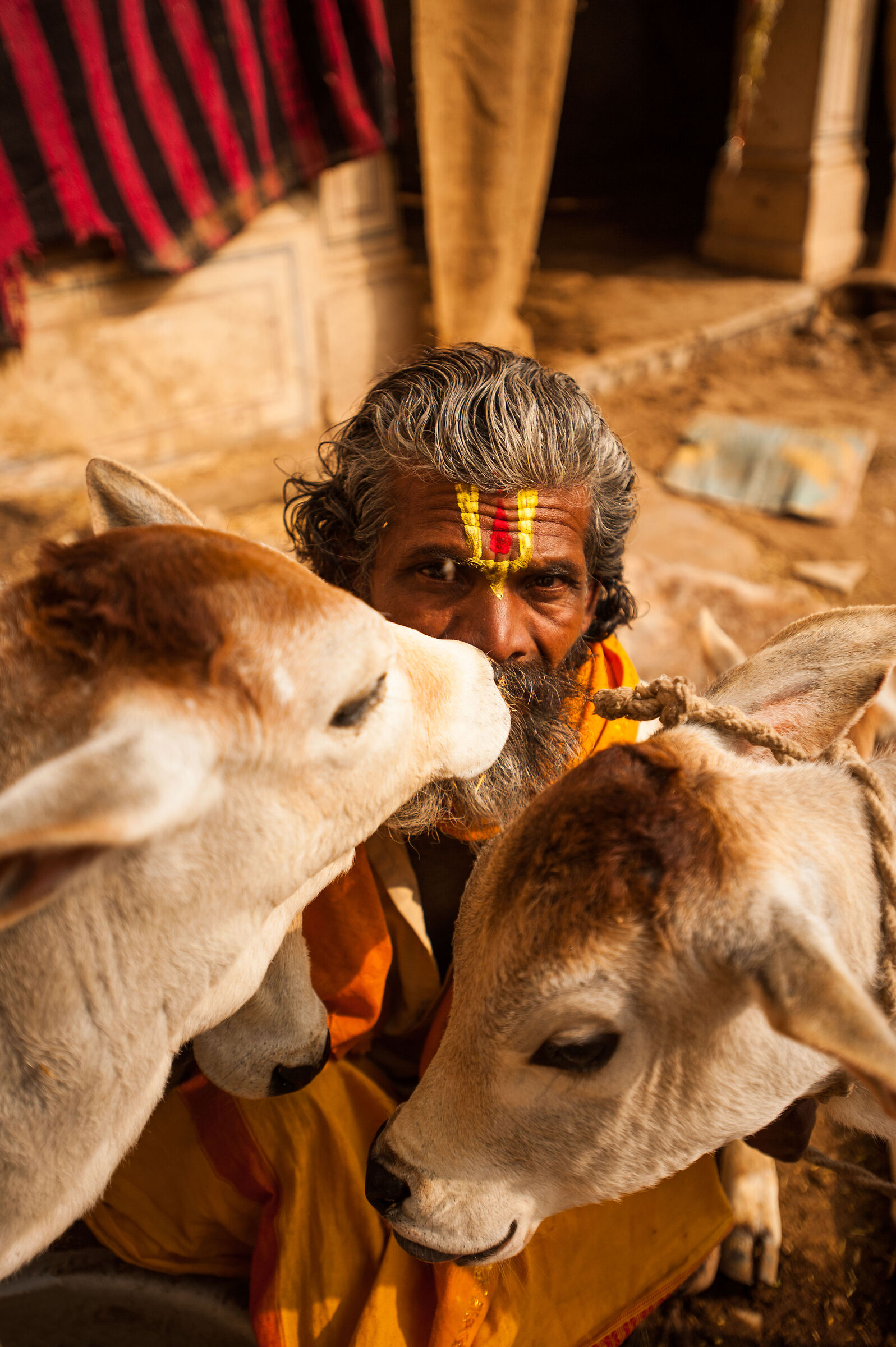 "Dentro gli occhi dell' India"