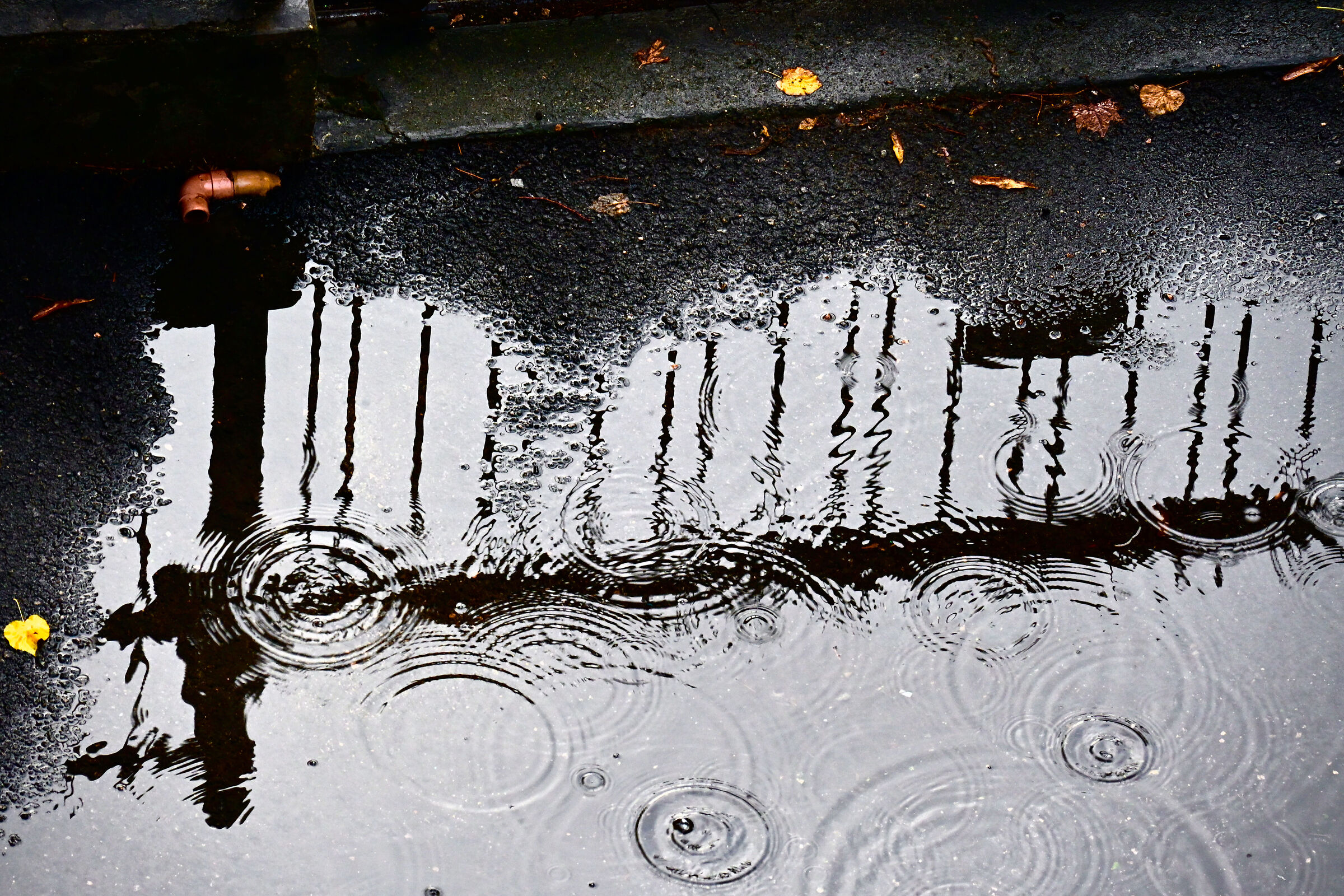 Rain in the Brain.